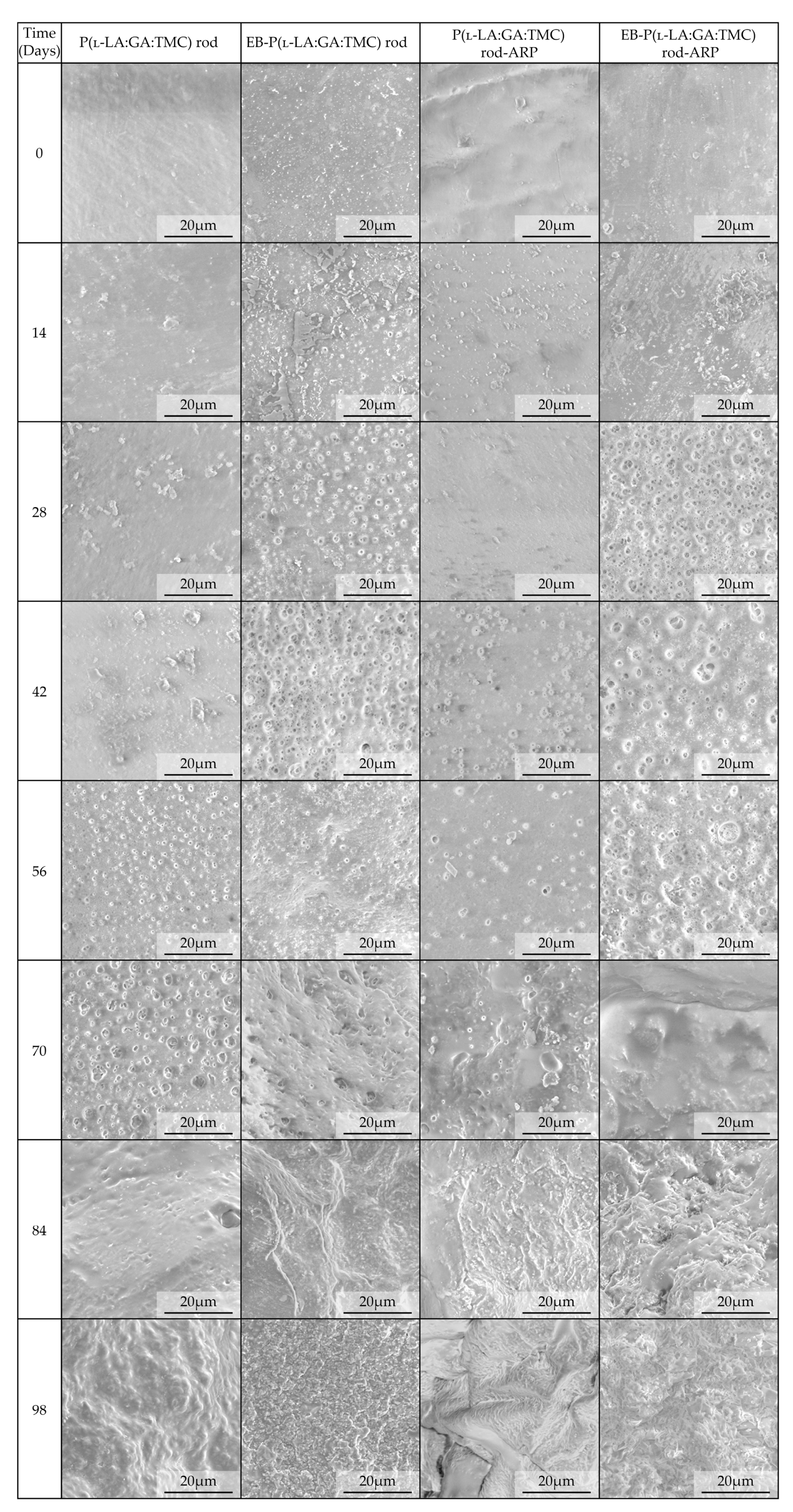 Polymers 13 03556 g009