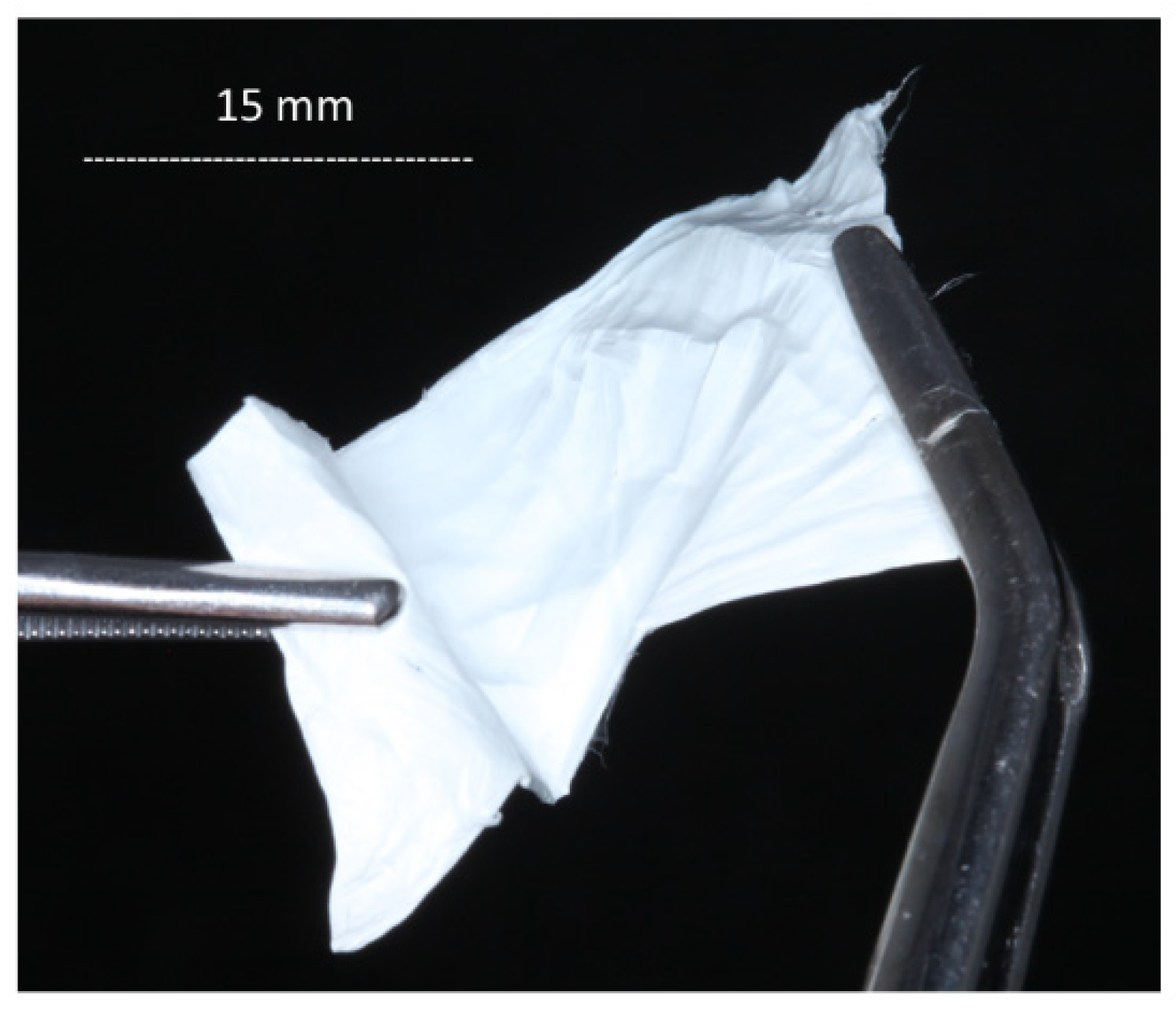 Polymers 13 03557 g001