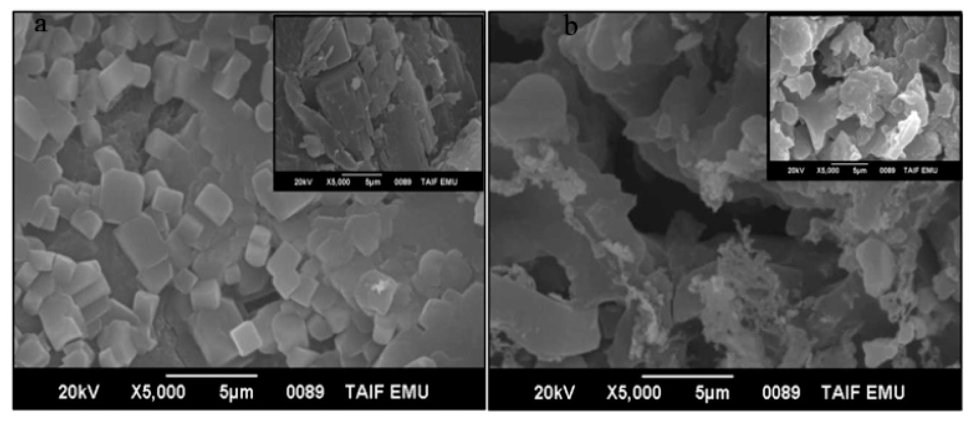 Polymers 13 03559 g004 550