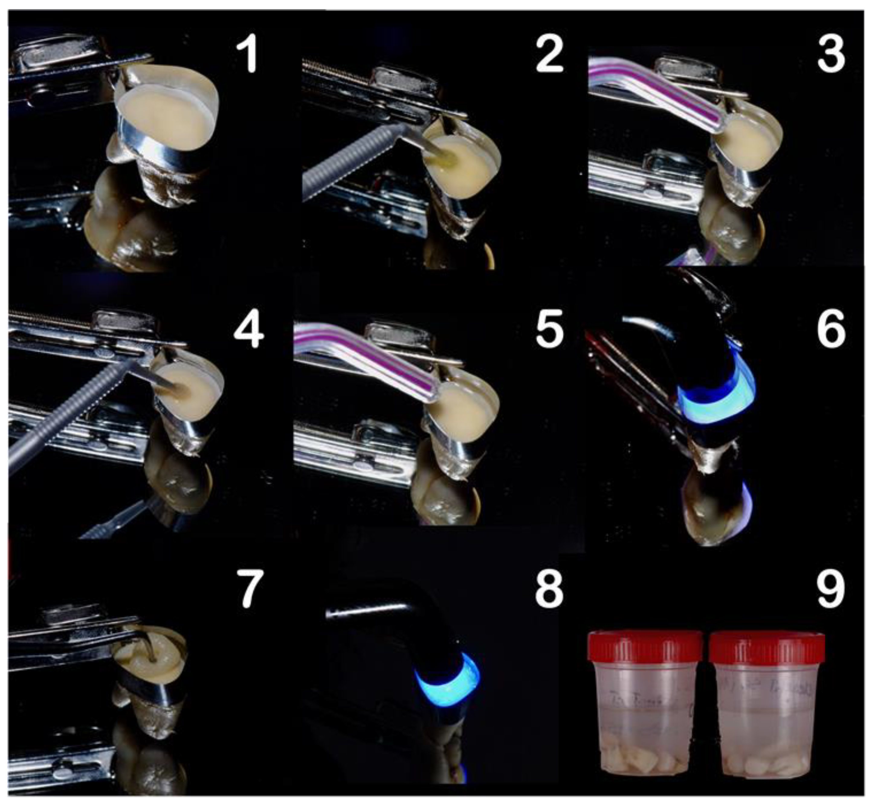 Polymers 13 03562 g001 Polymers 13 03562 g001