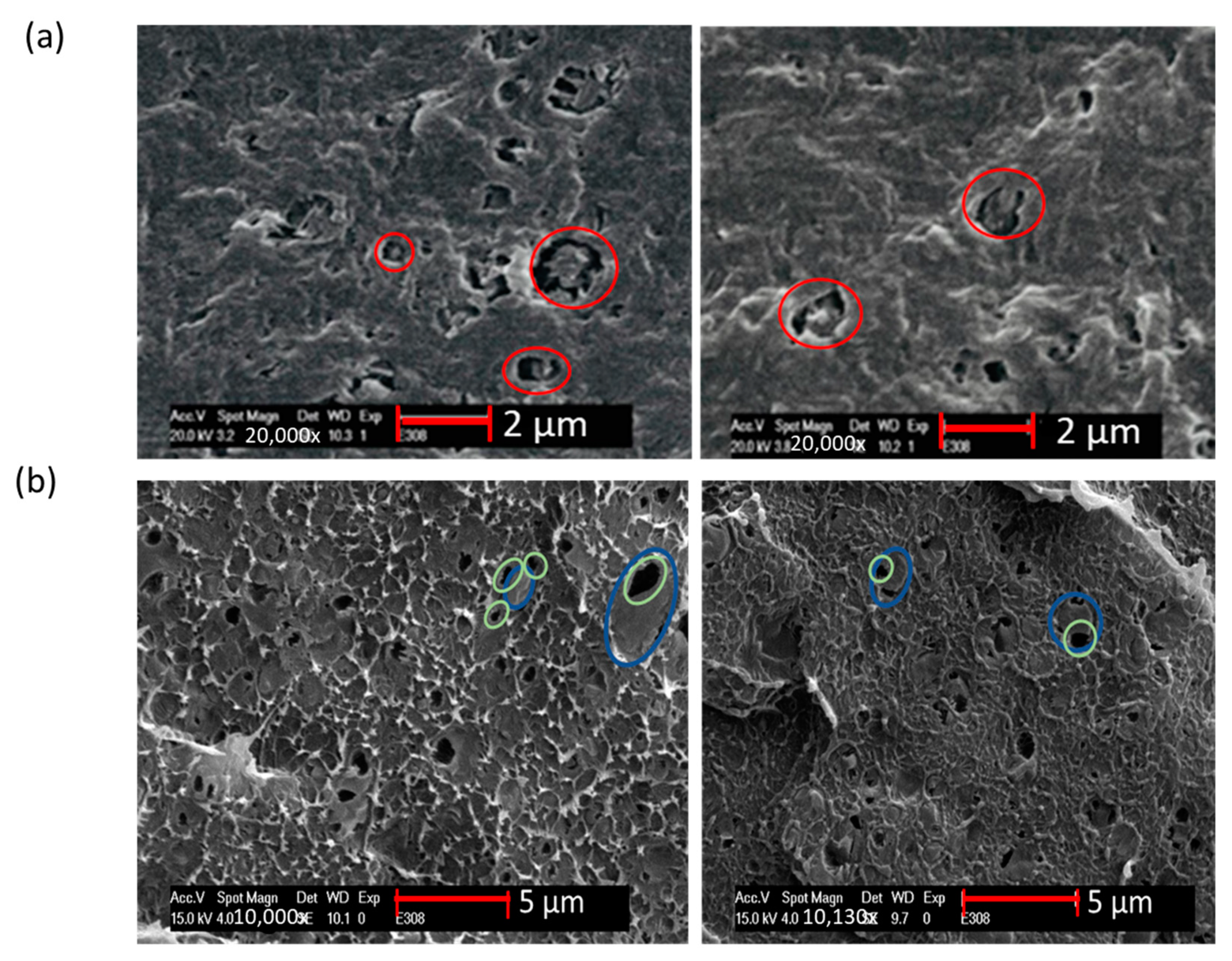 Polymers 13 03567 g005
