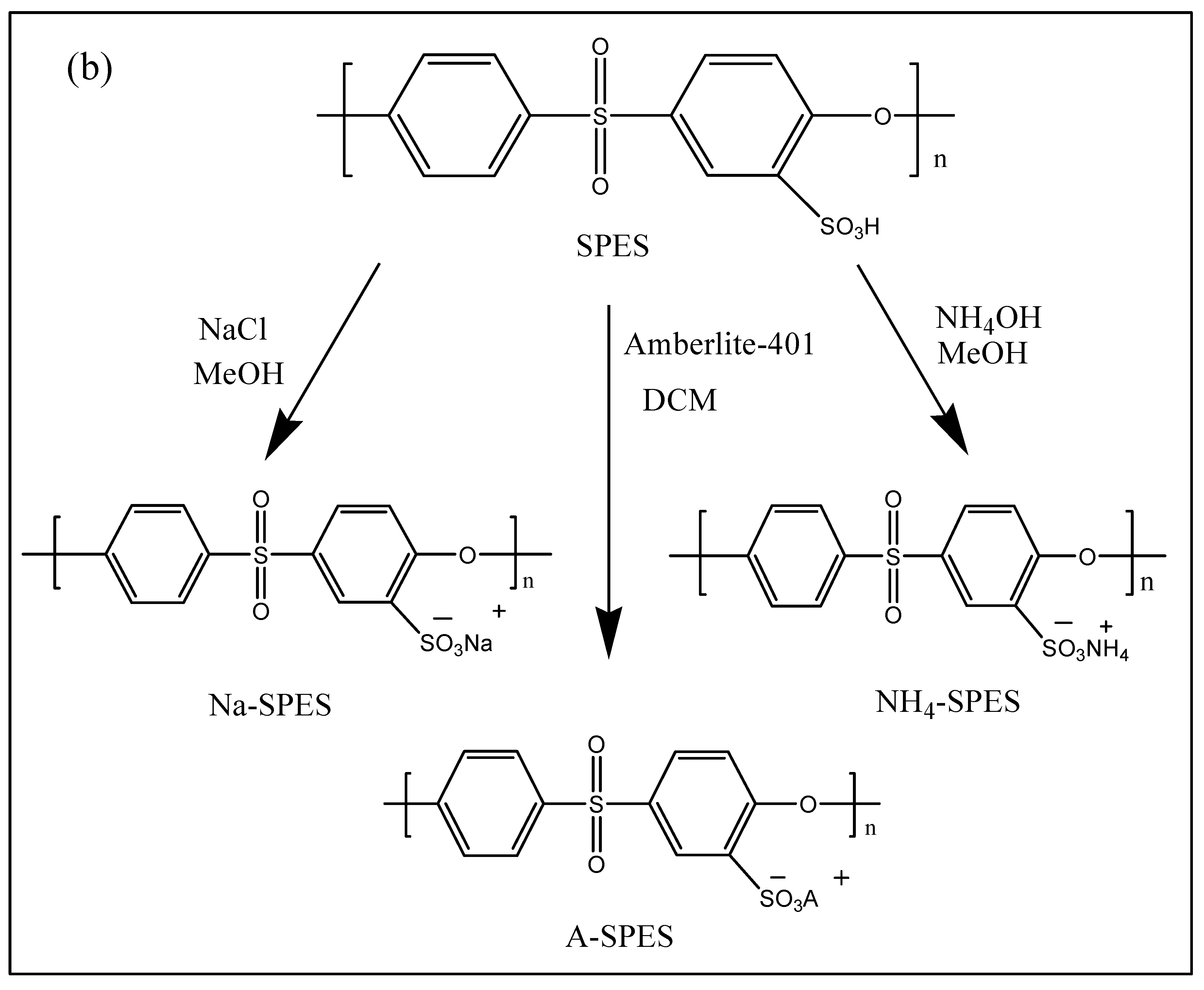 Polymers 13 03569 g001b