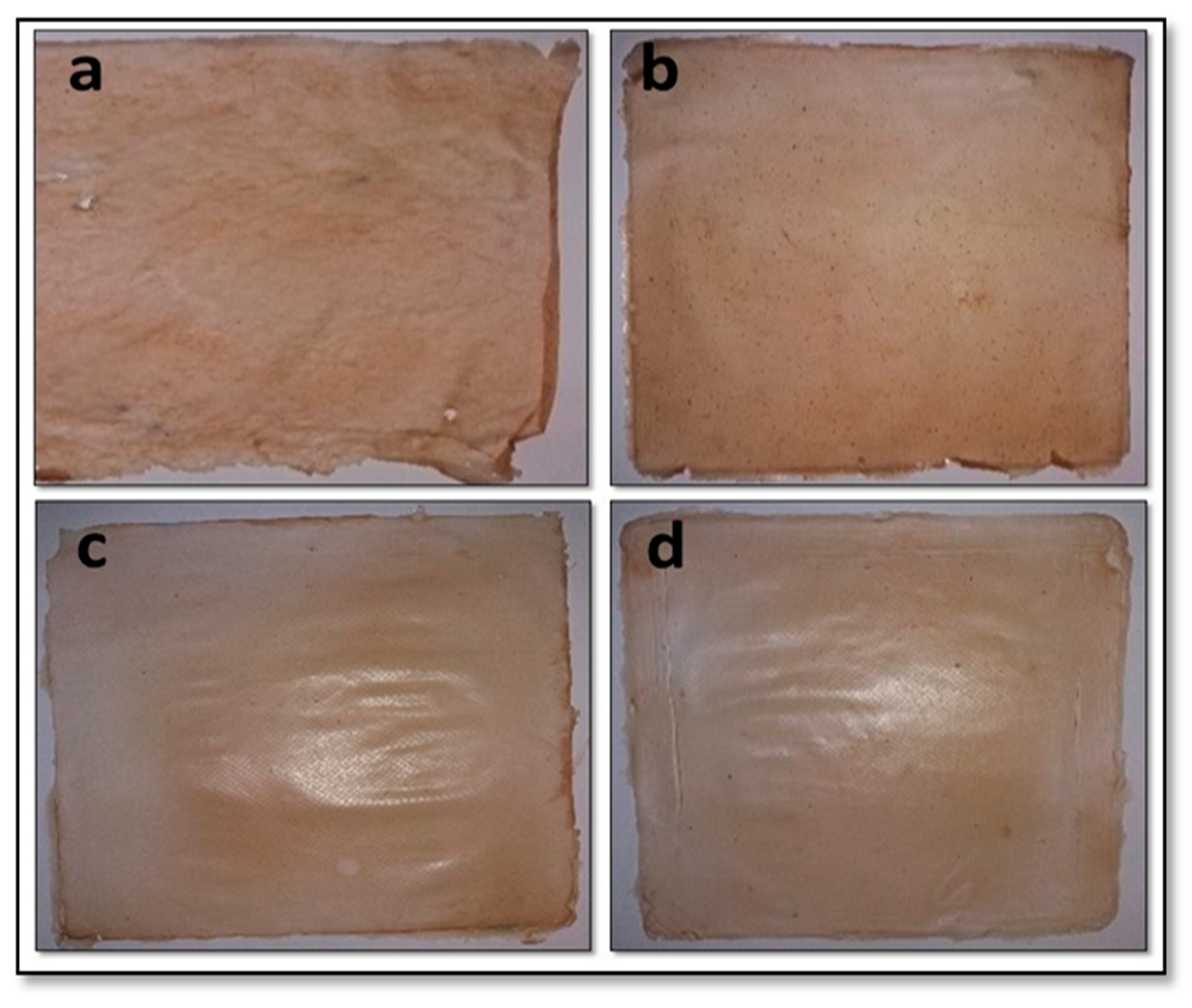 Polymers 13 03570 g001 Polymers 13 03570 g001