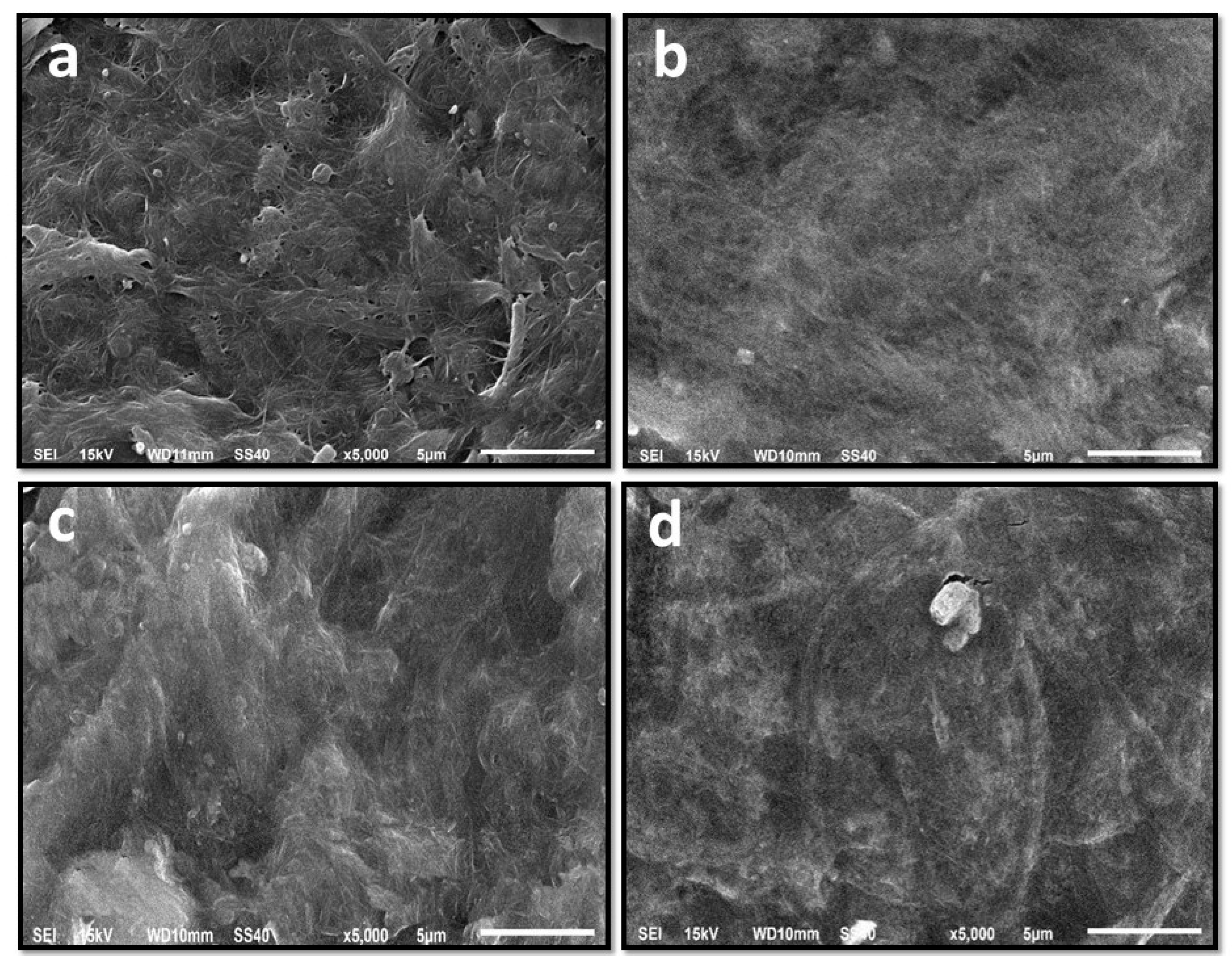 Polymers 13 03570 g003 Polymers 13 03570 g003
