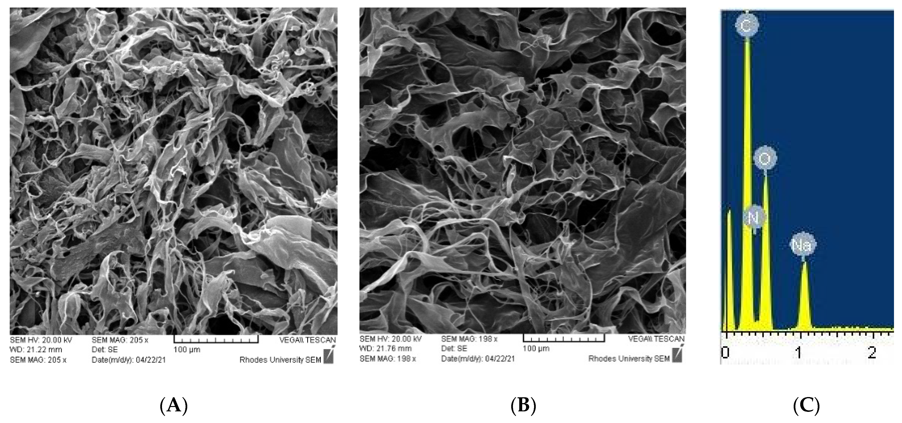 Polymers 13 03571 g004 550