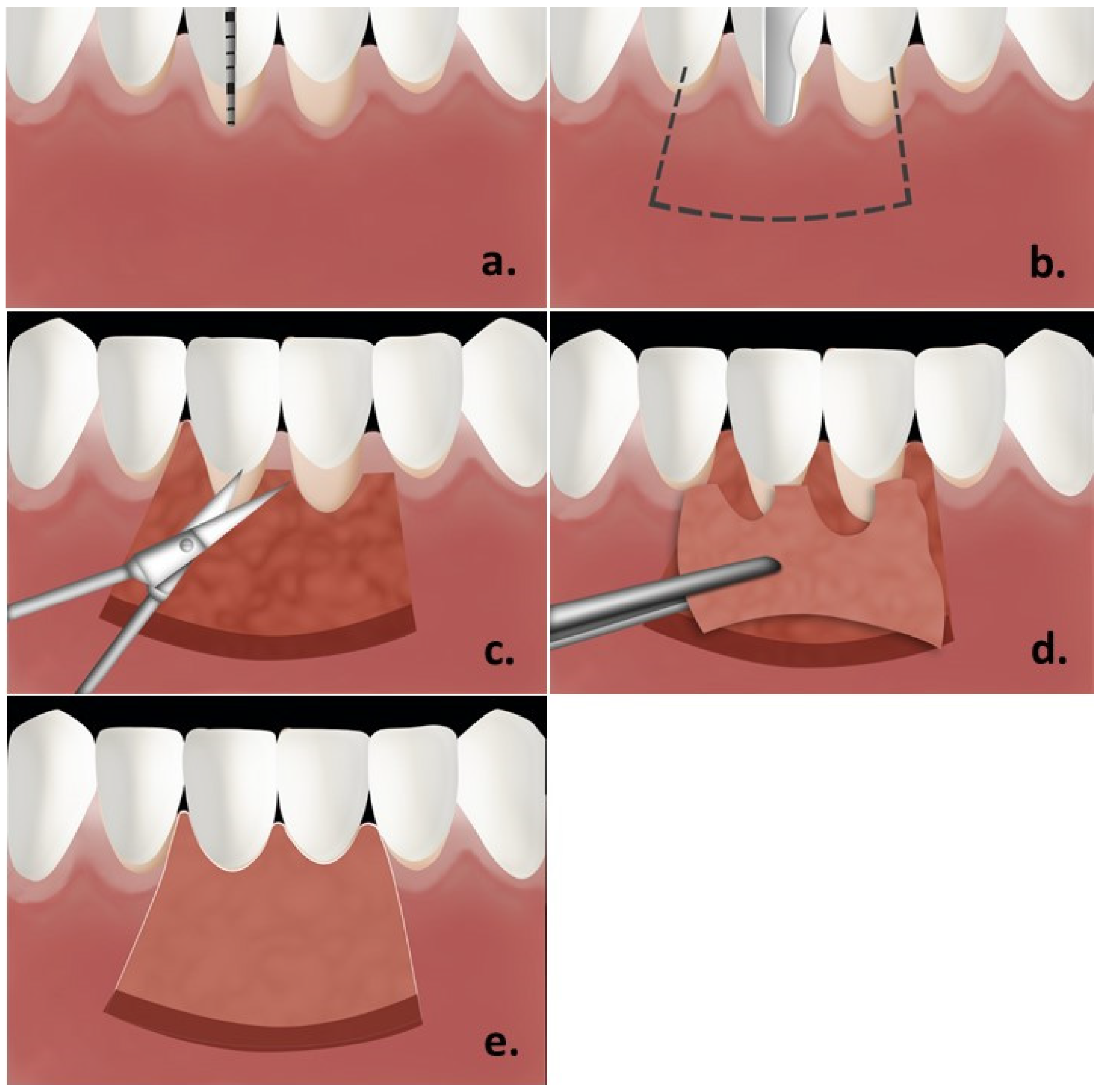Polymers 13 03575 g001 550