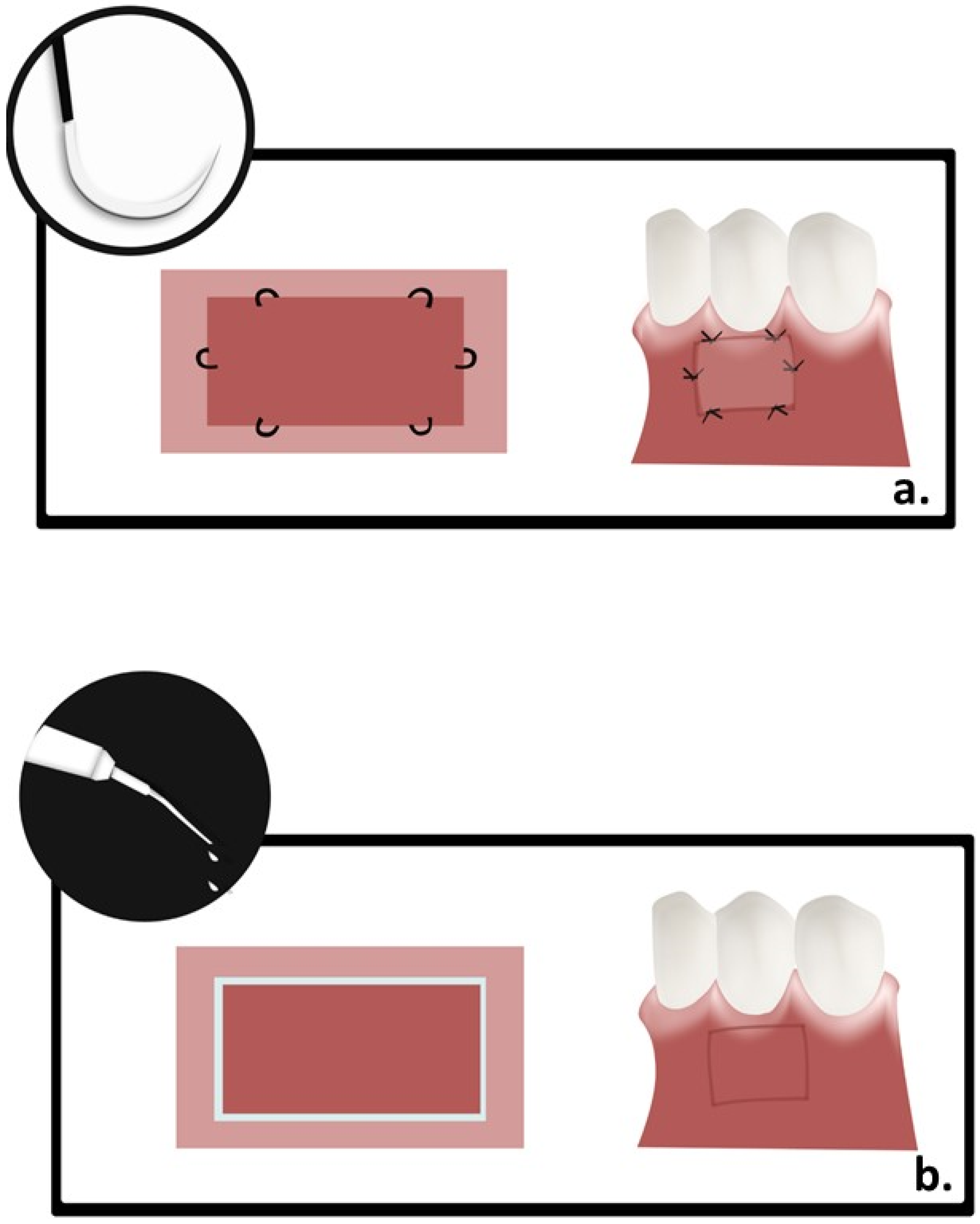 Polymers 13 03575 g002 550