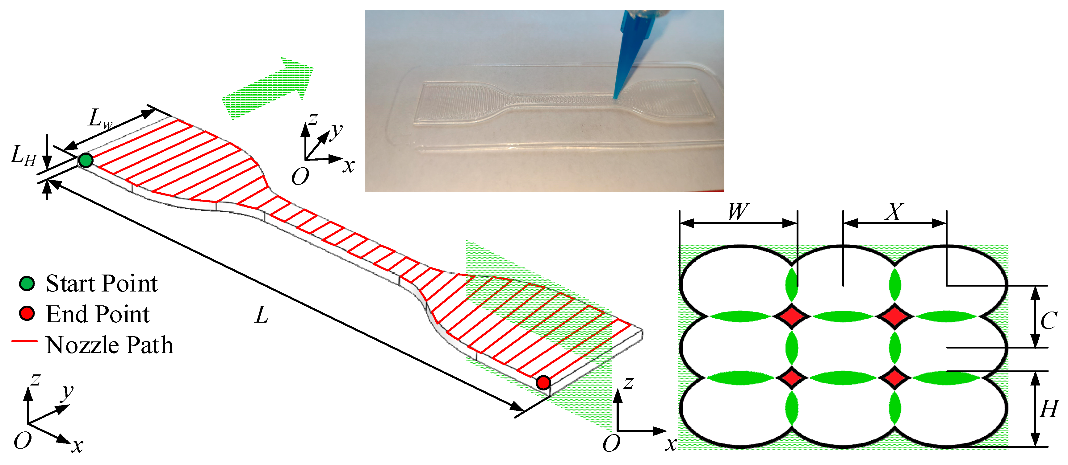 Polymers 13 03576 g007