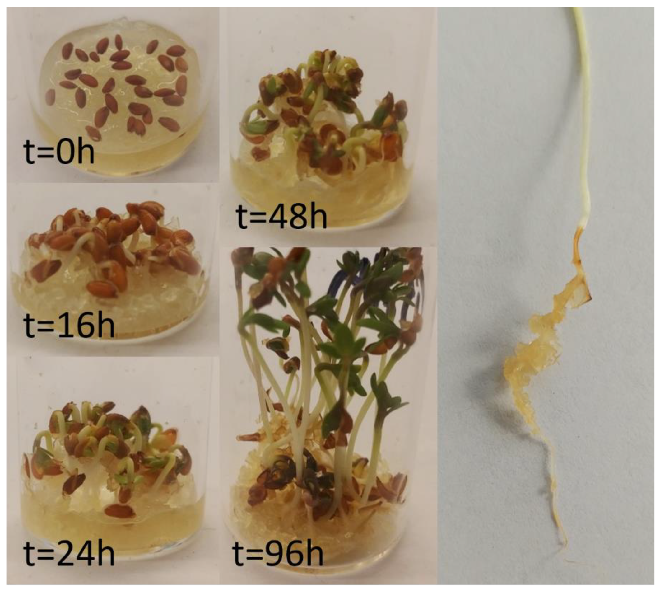 Polymers 13 03581 g007 550