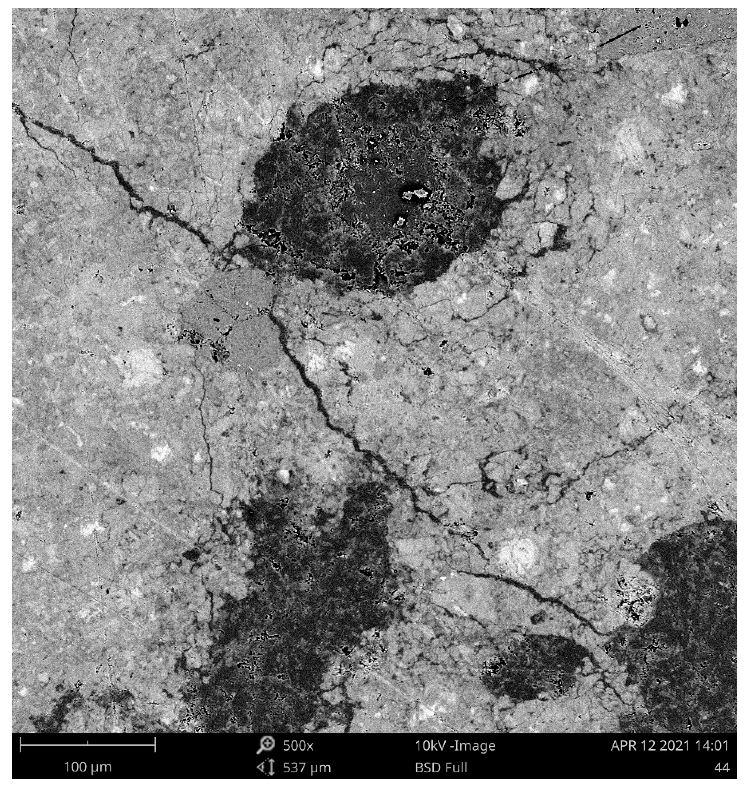 Polymers 13 03584 g003