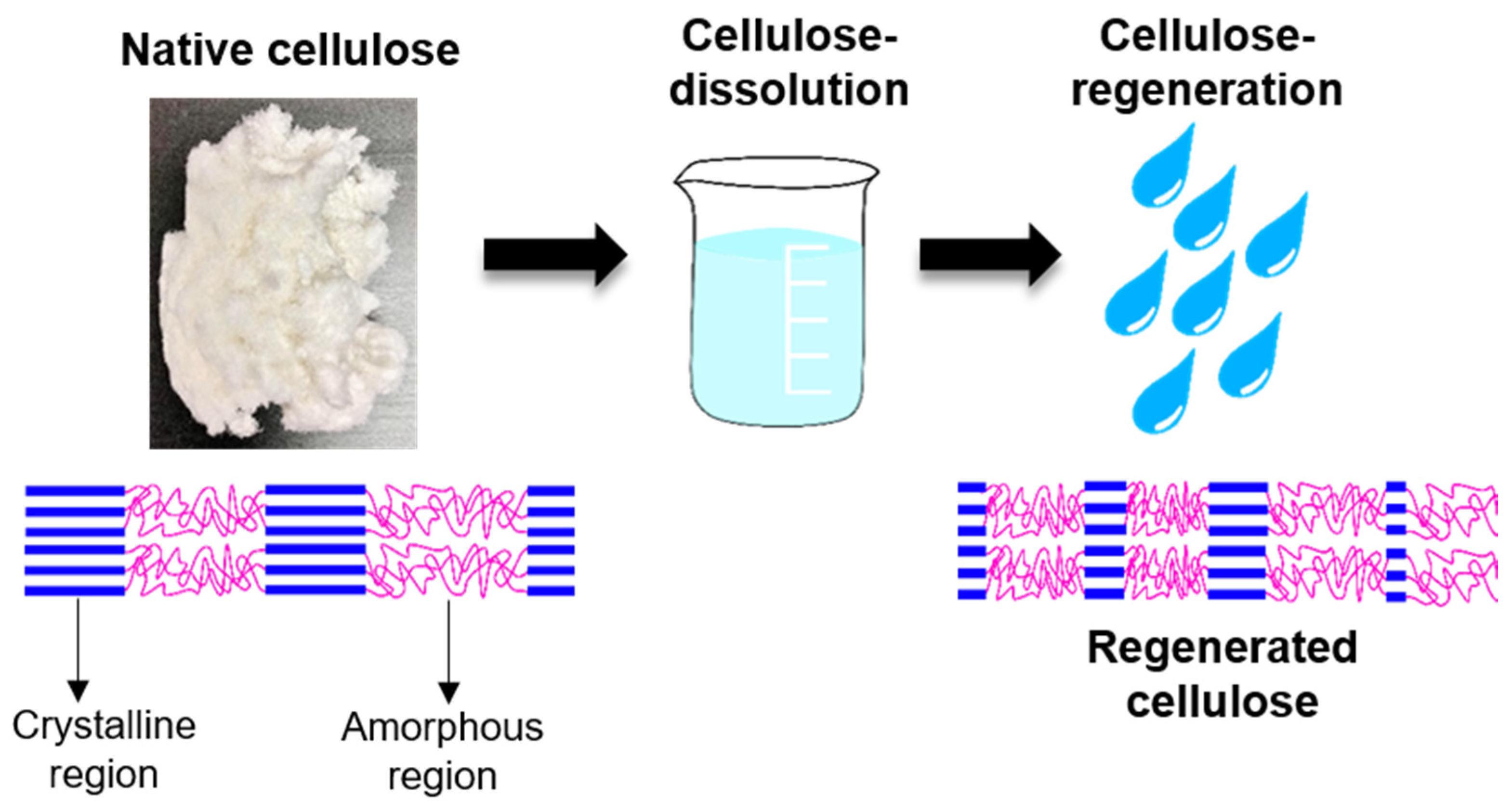 Polymers Free FullText Regenerated Cellulose Products for
