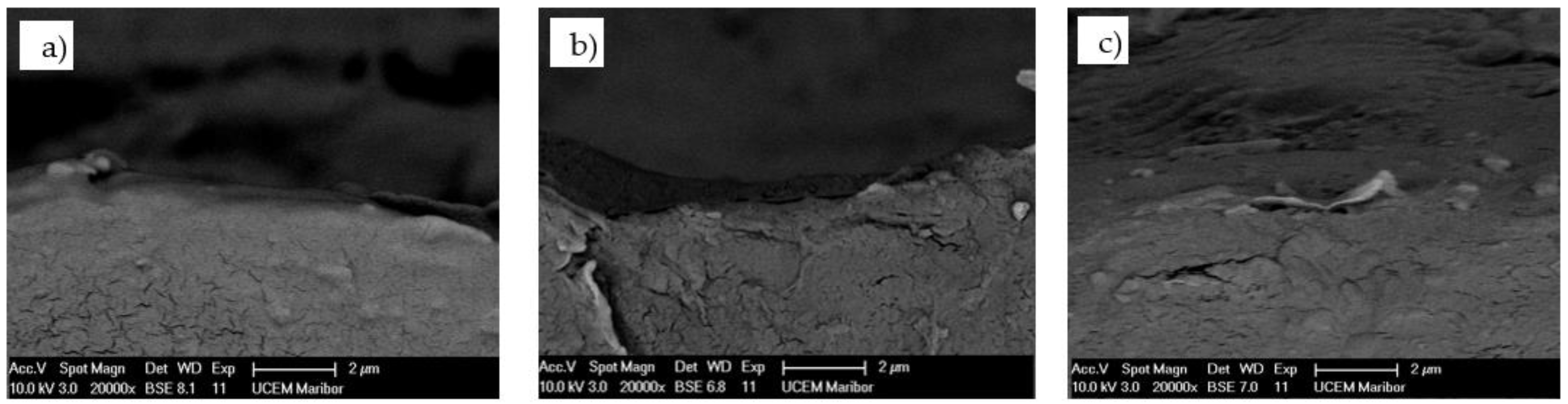 Polymers 13 03588 g006