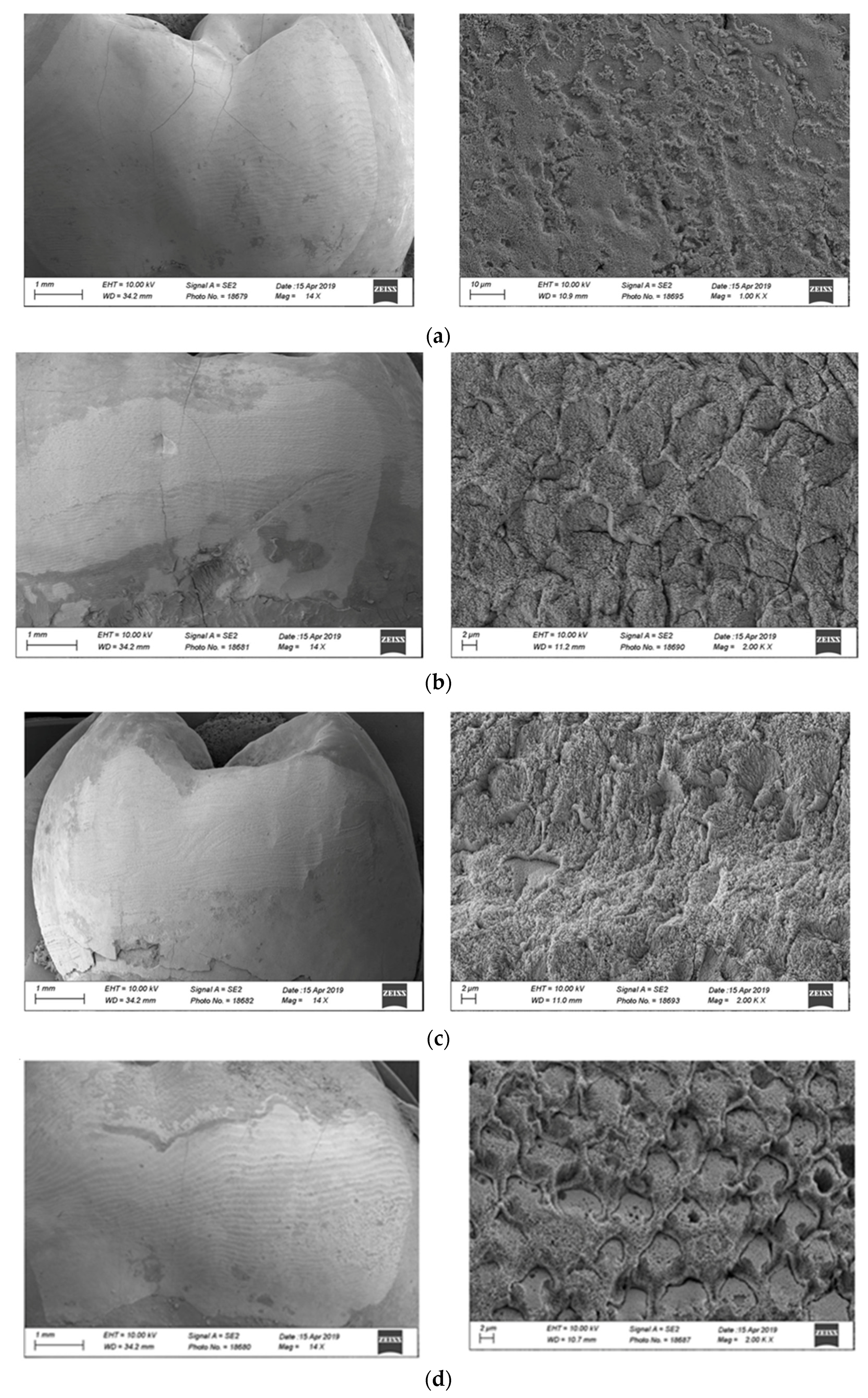 Polymers 13 03589 g003