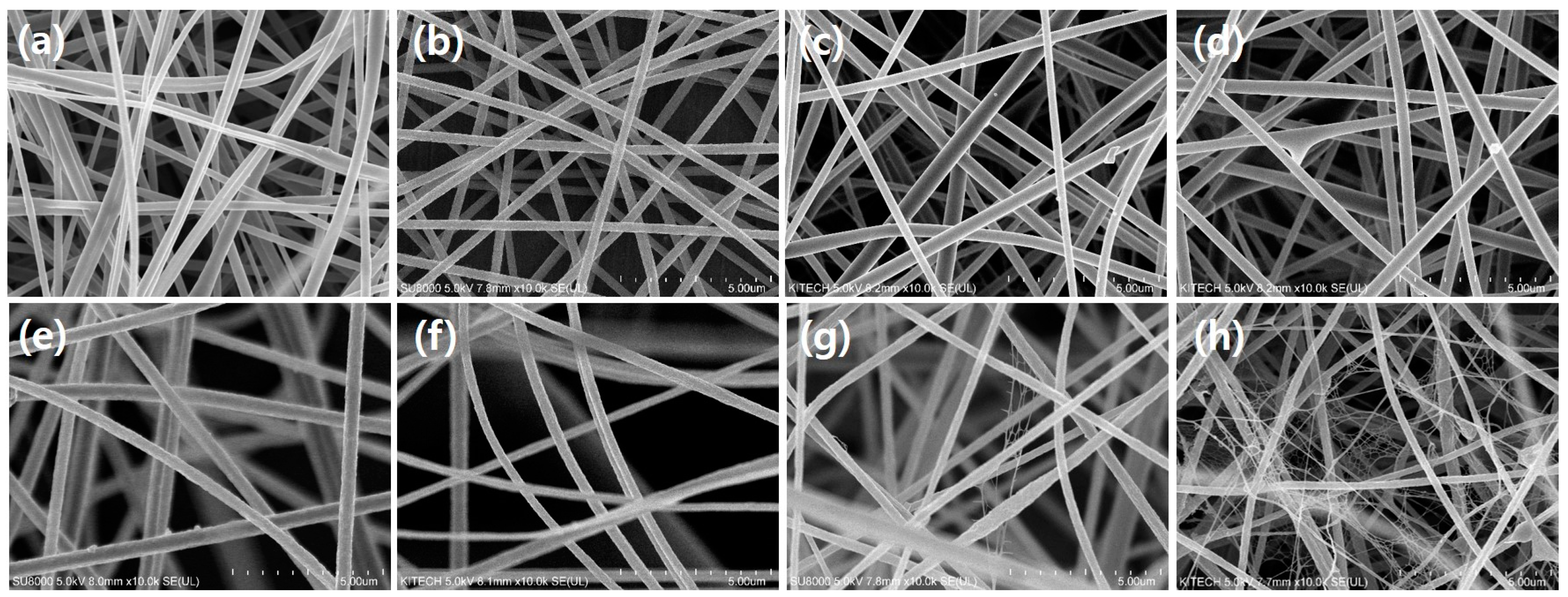 Polymers 13 03591 g002 550