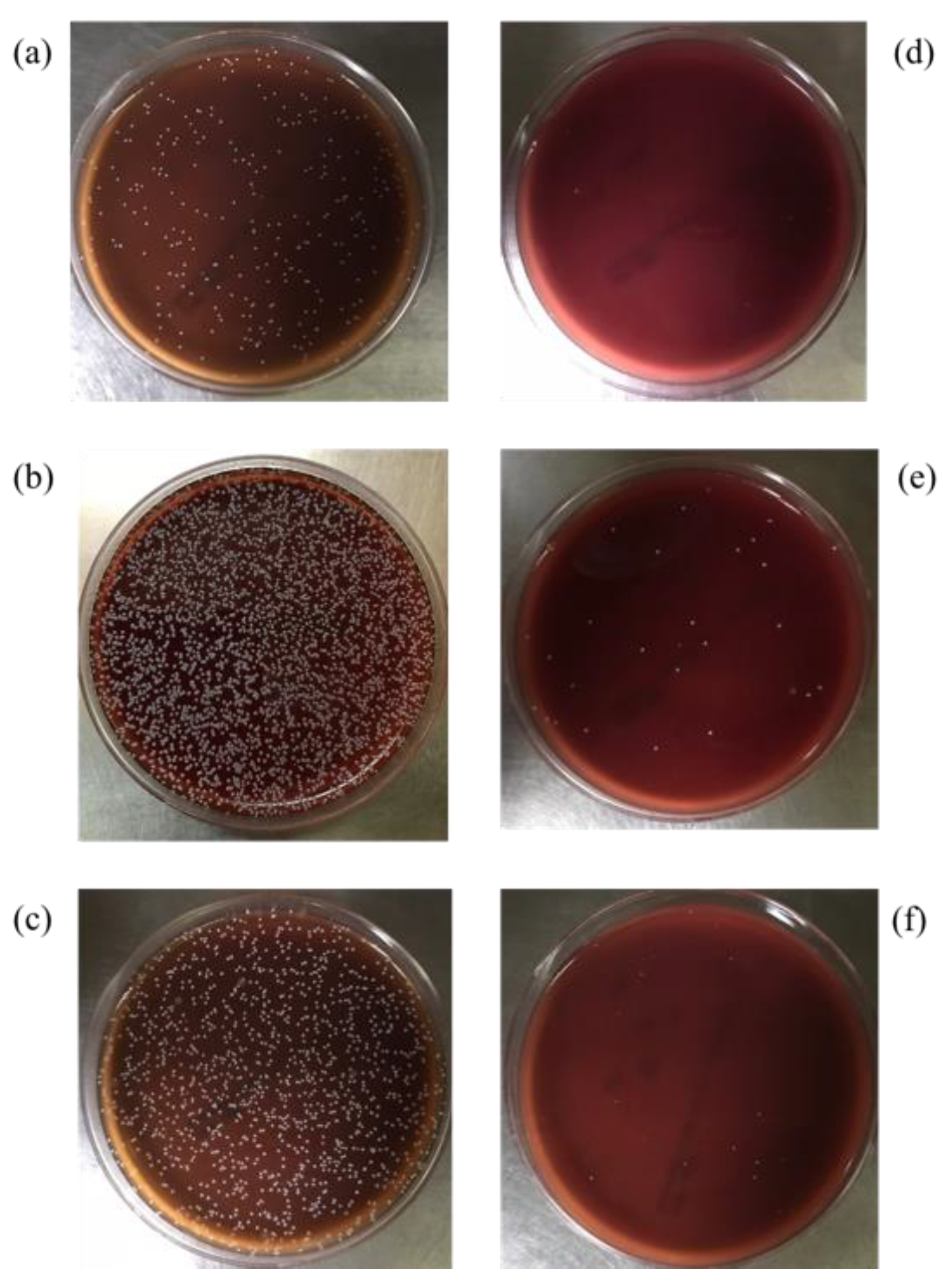 Polymers 13 03593 g009 550