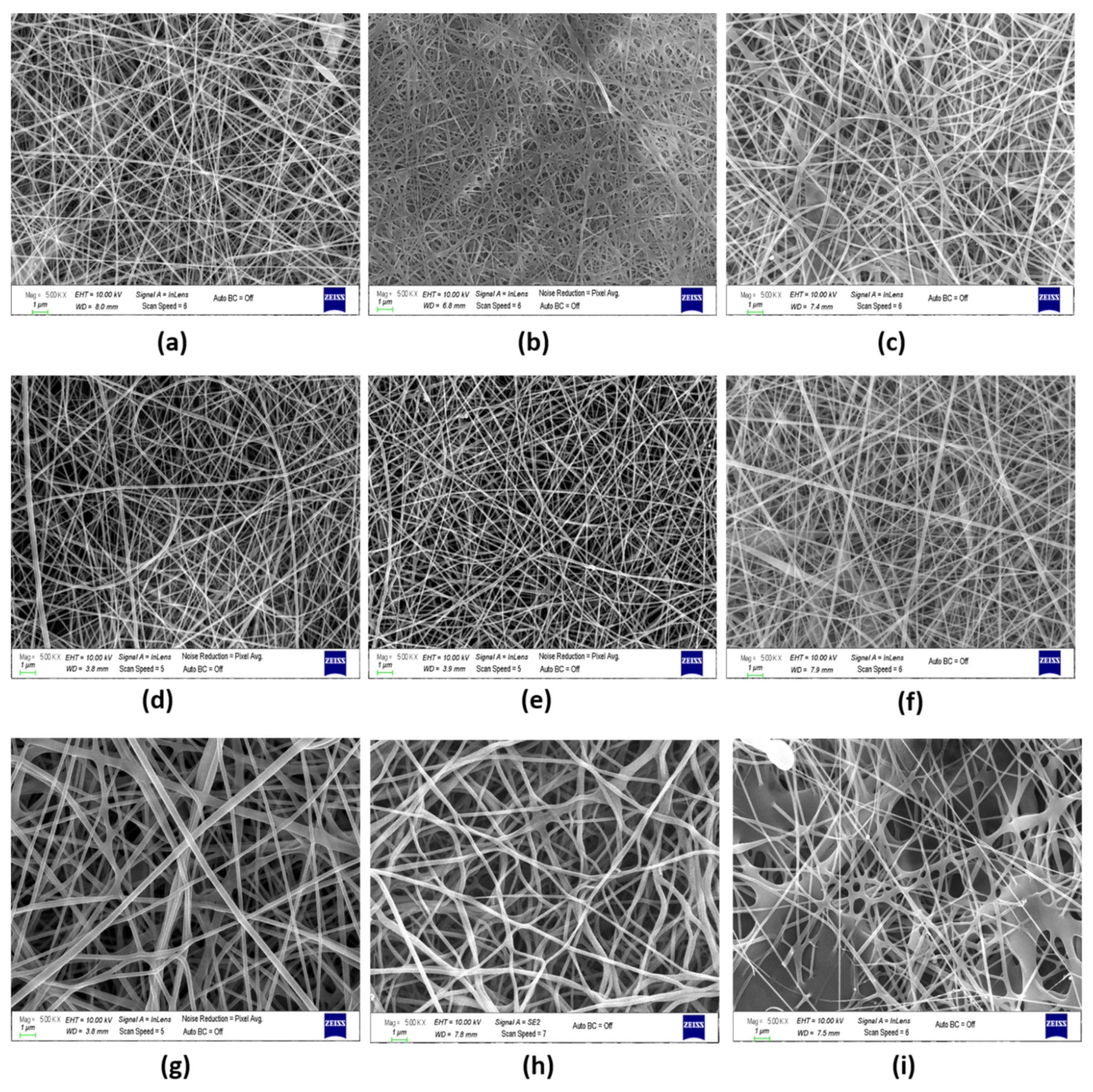 Polymers 13 03594 g002
