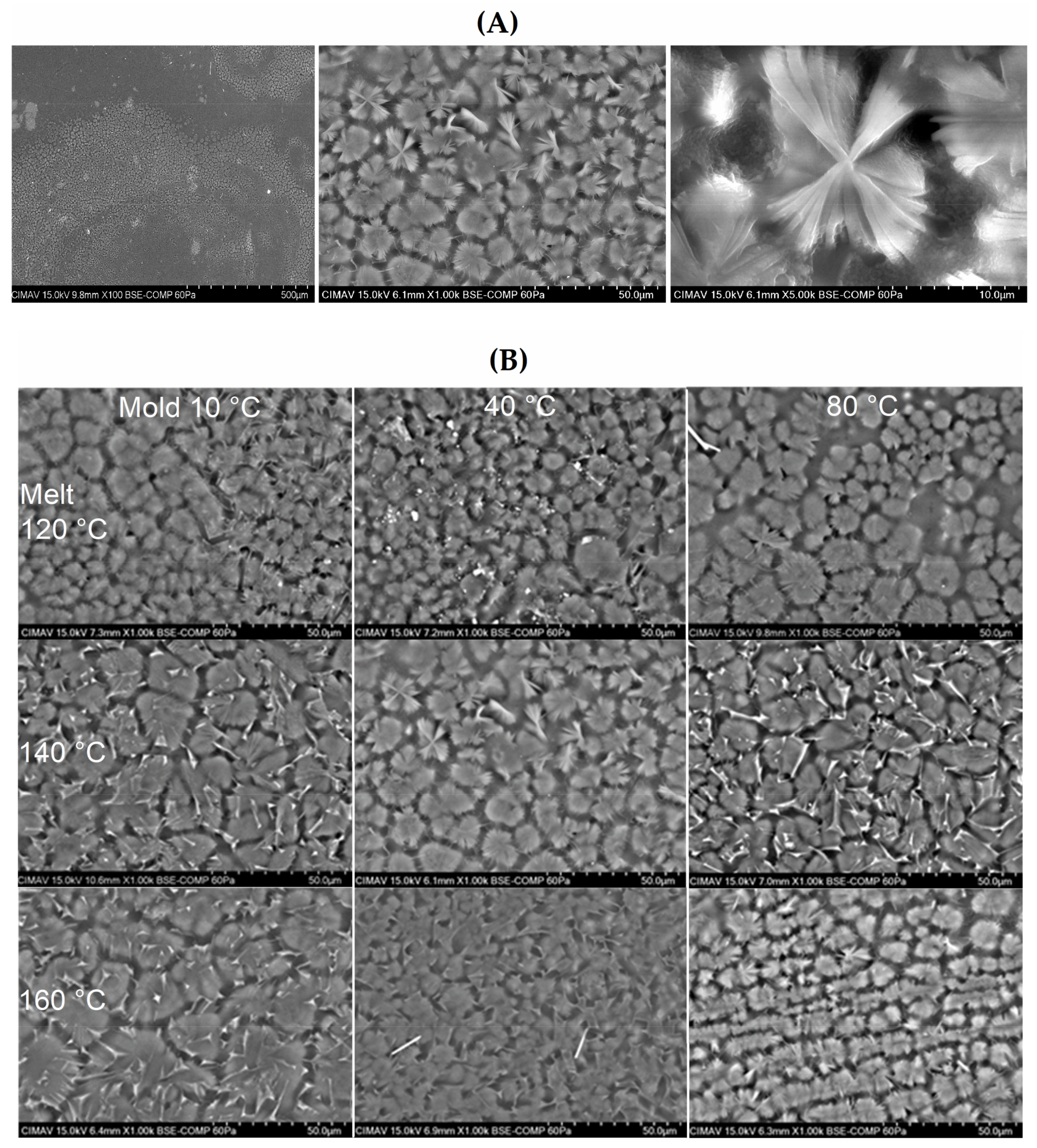 Polymers 13 03597 g001 550