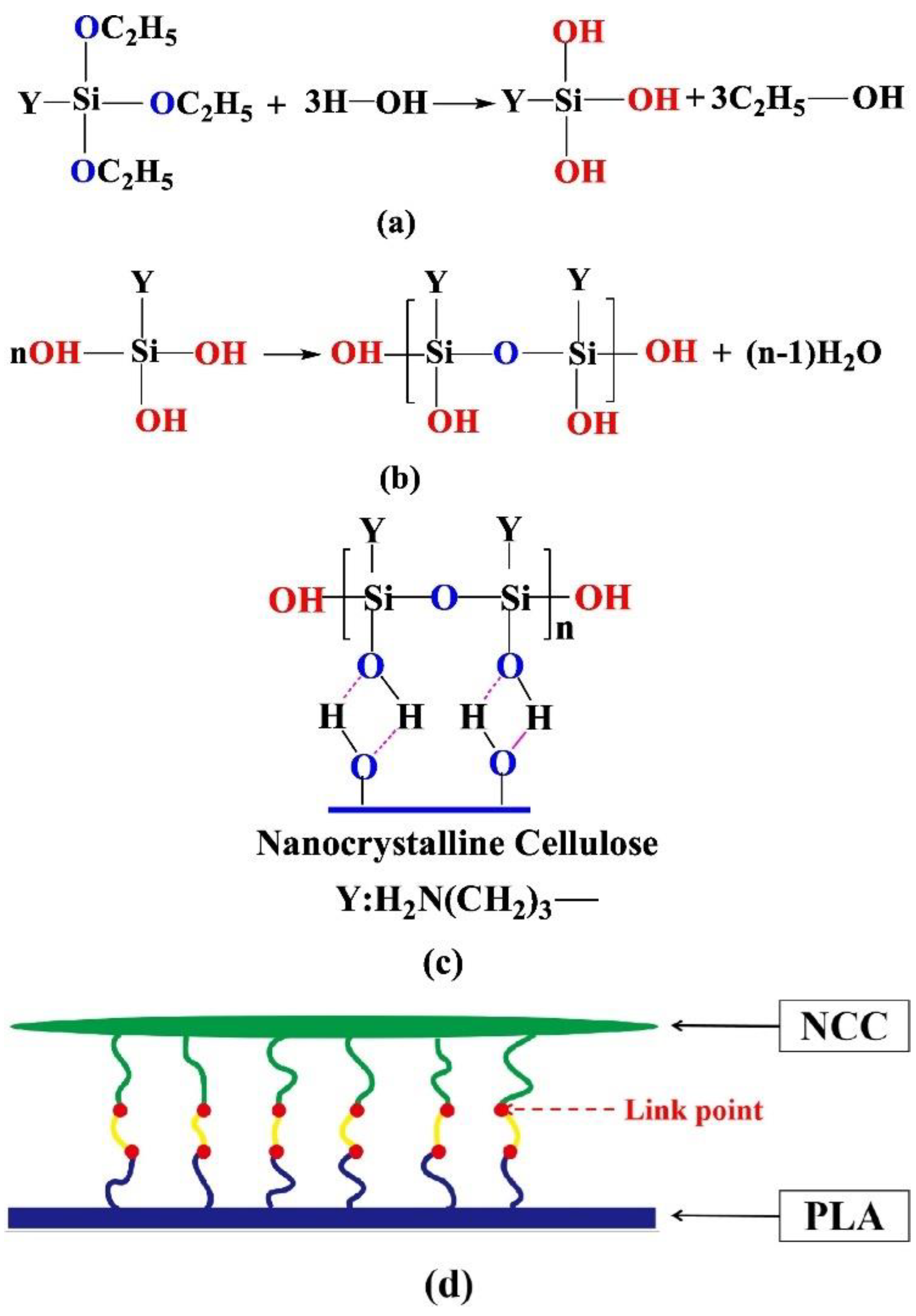 Polymers 13 03600 g004 550