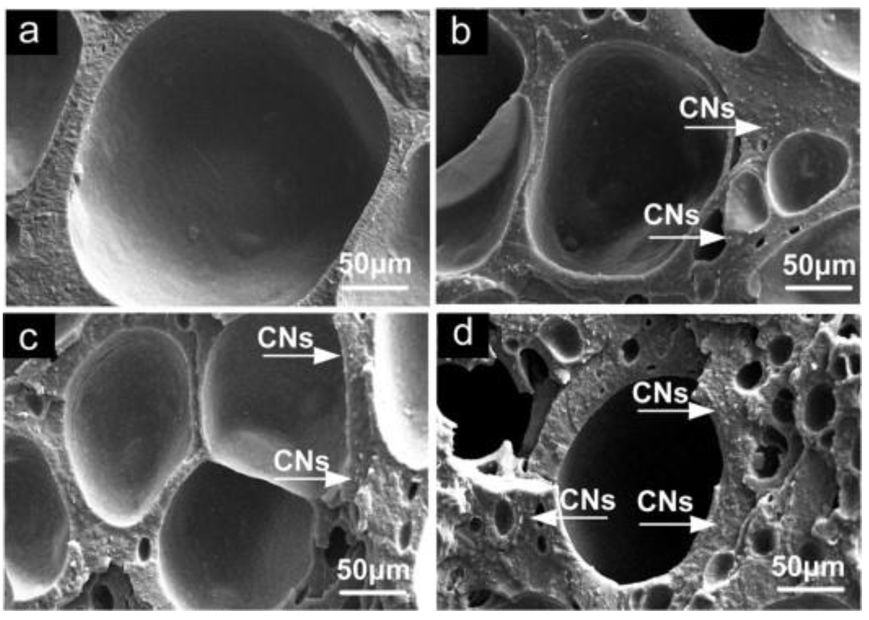 Polymers 13 03600 g005 550