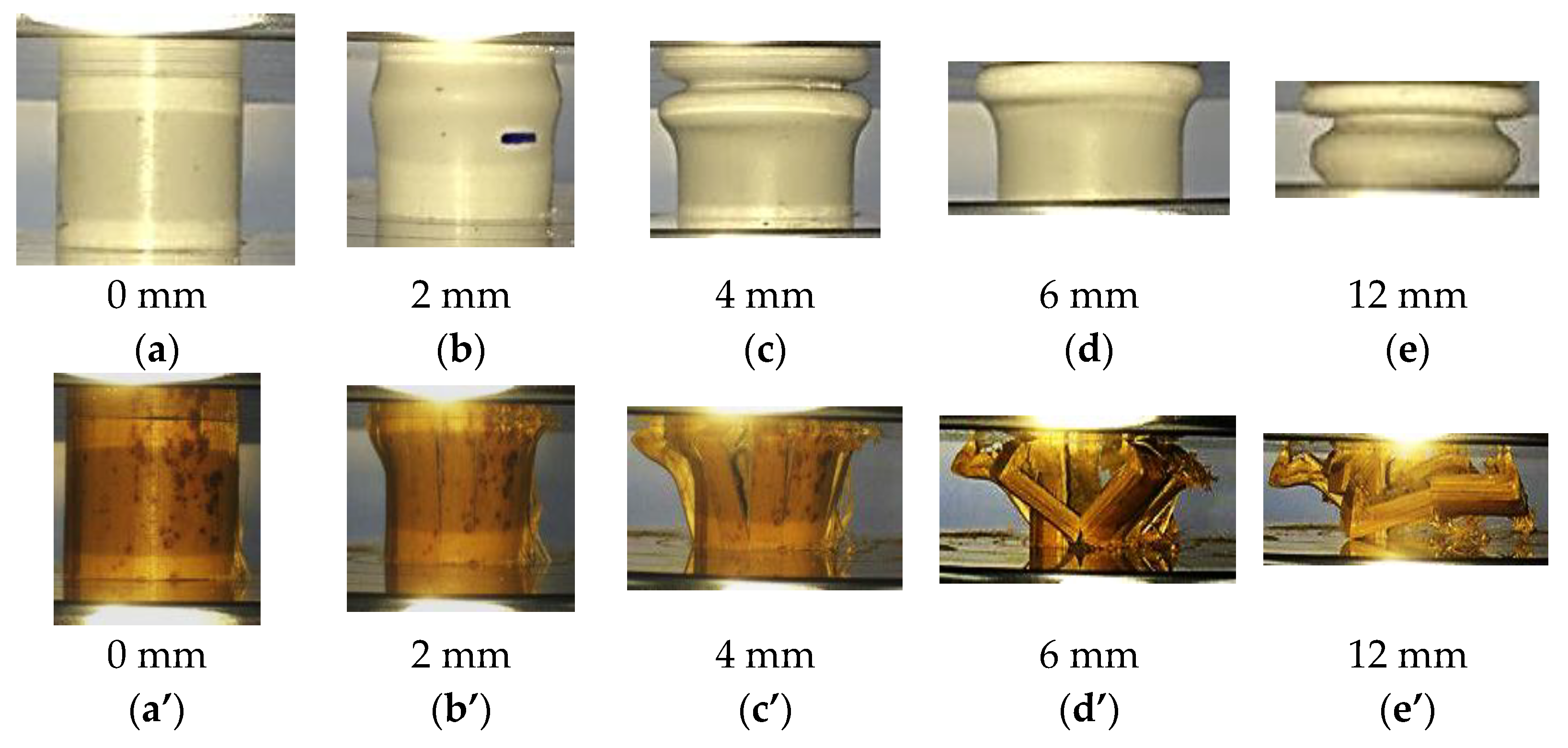 Polymers 13 03603 g005