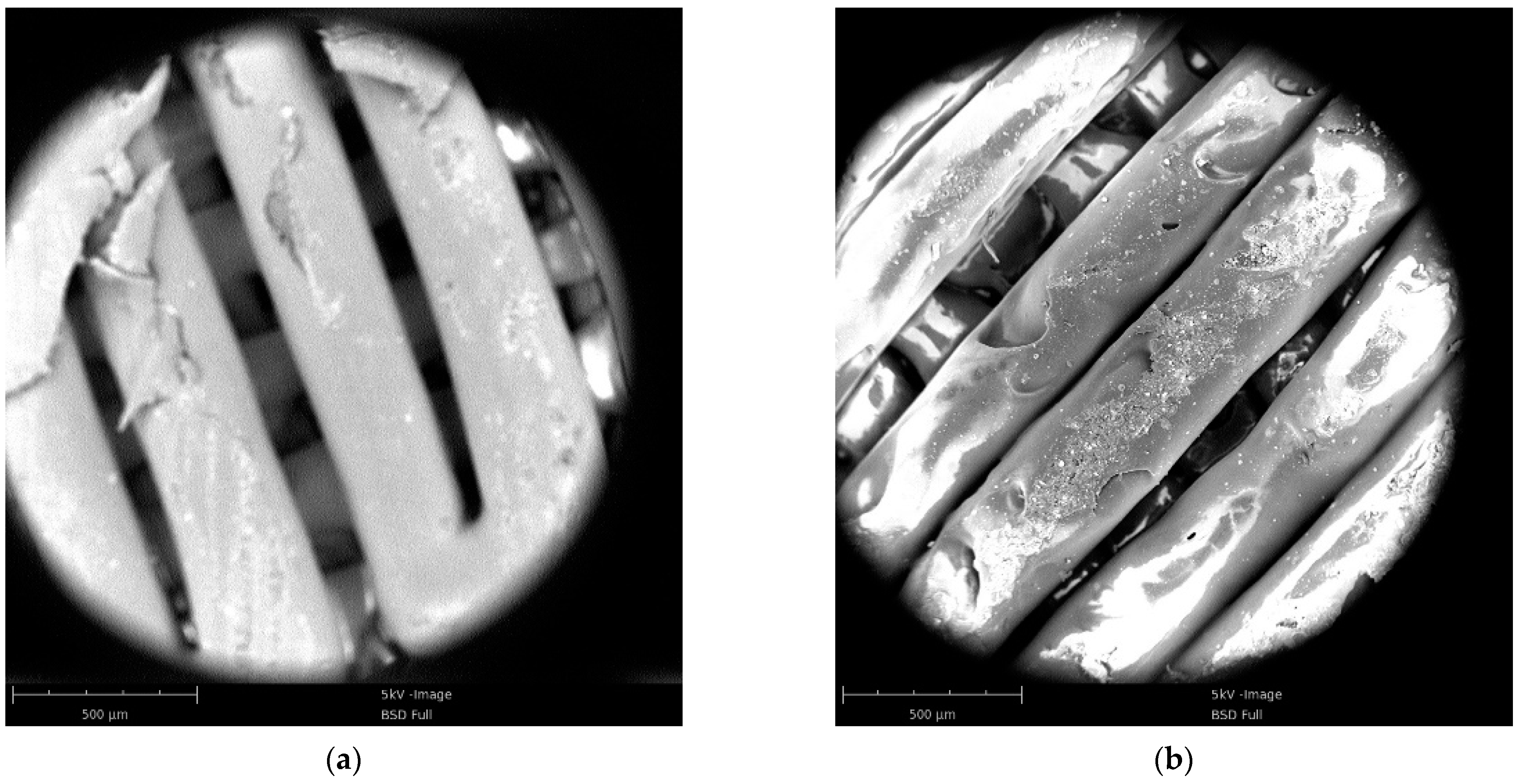 Polymers 13 03605 g009a 550