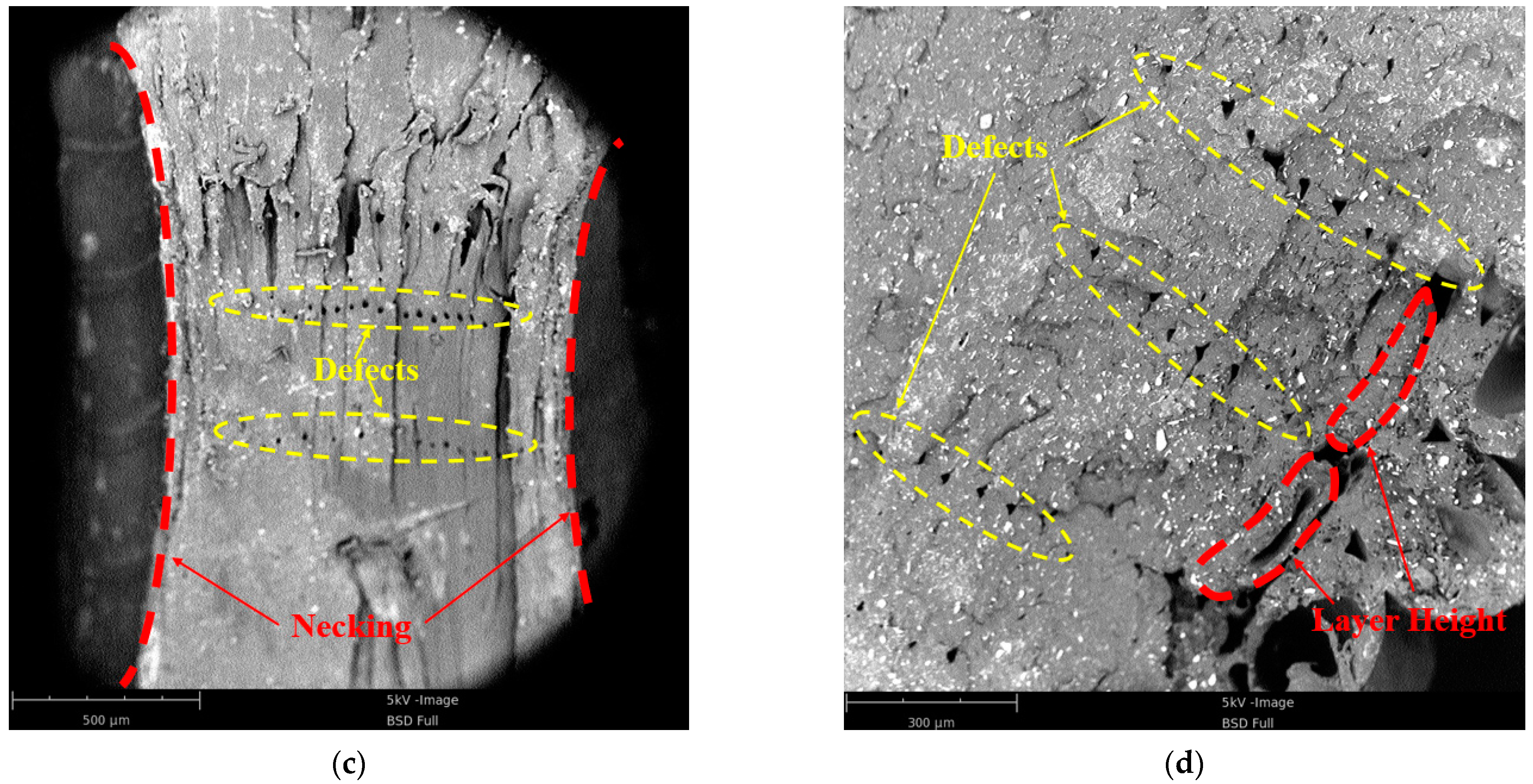 Polymers 13 03605 g009b 550