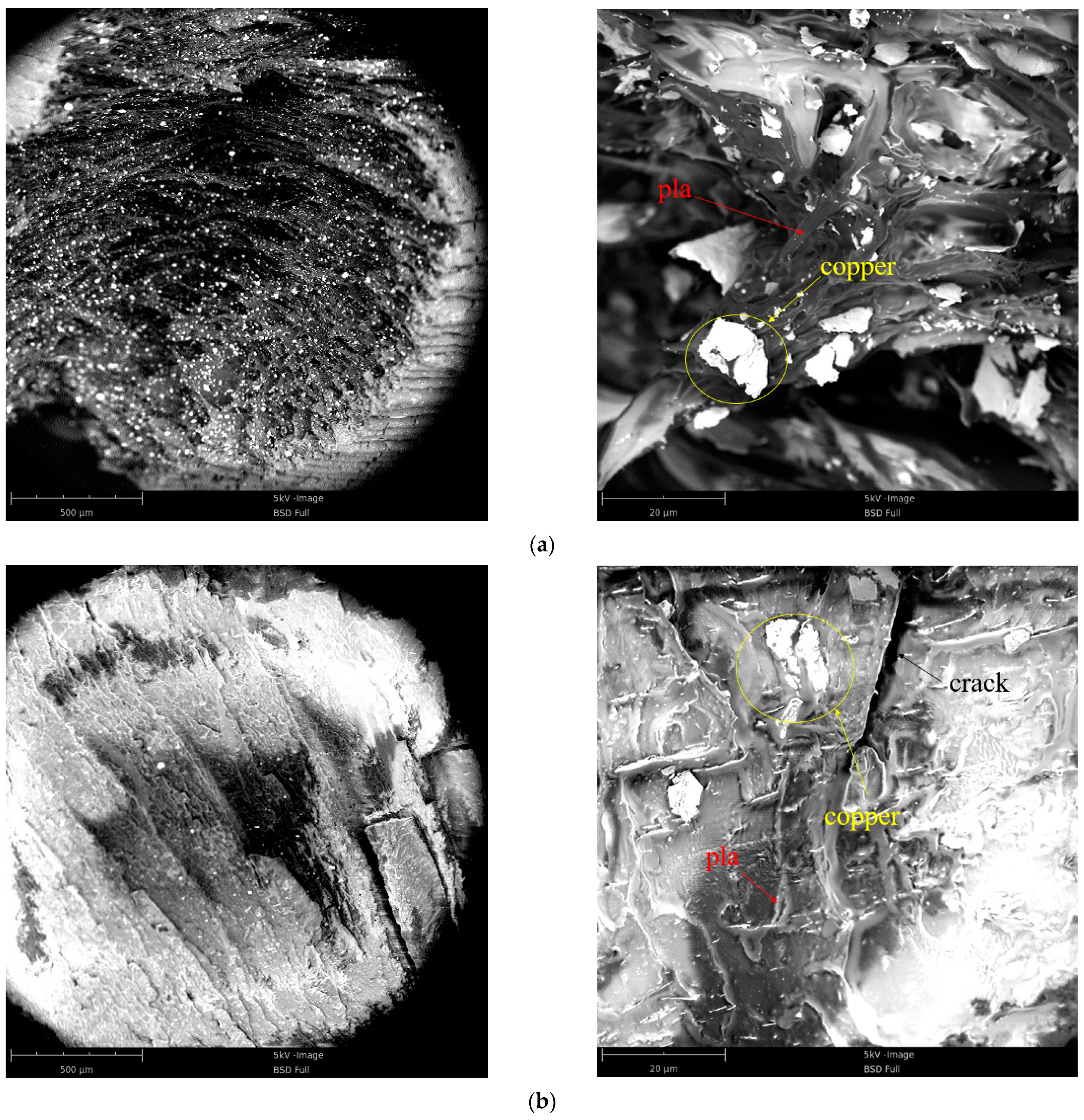 Polymers 13 03605 g010 550