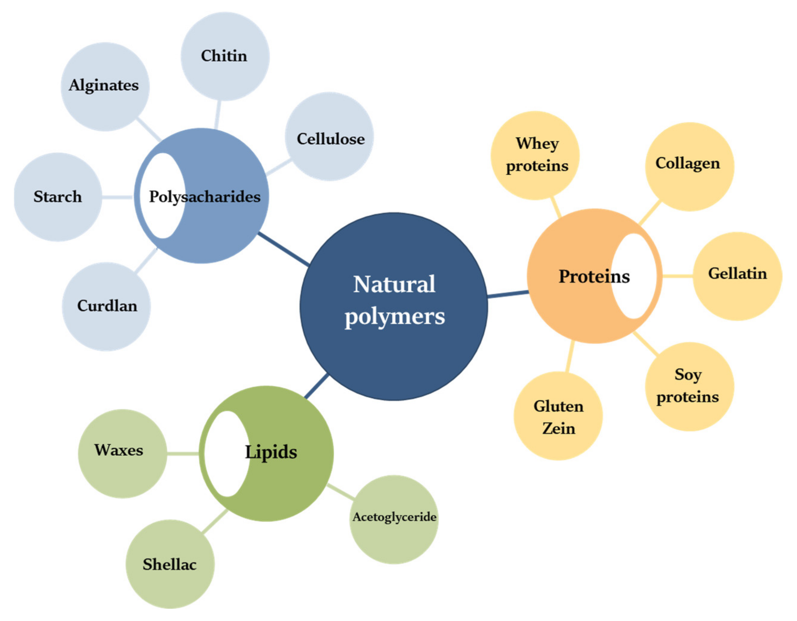 Polymers 13 03606 g004
