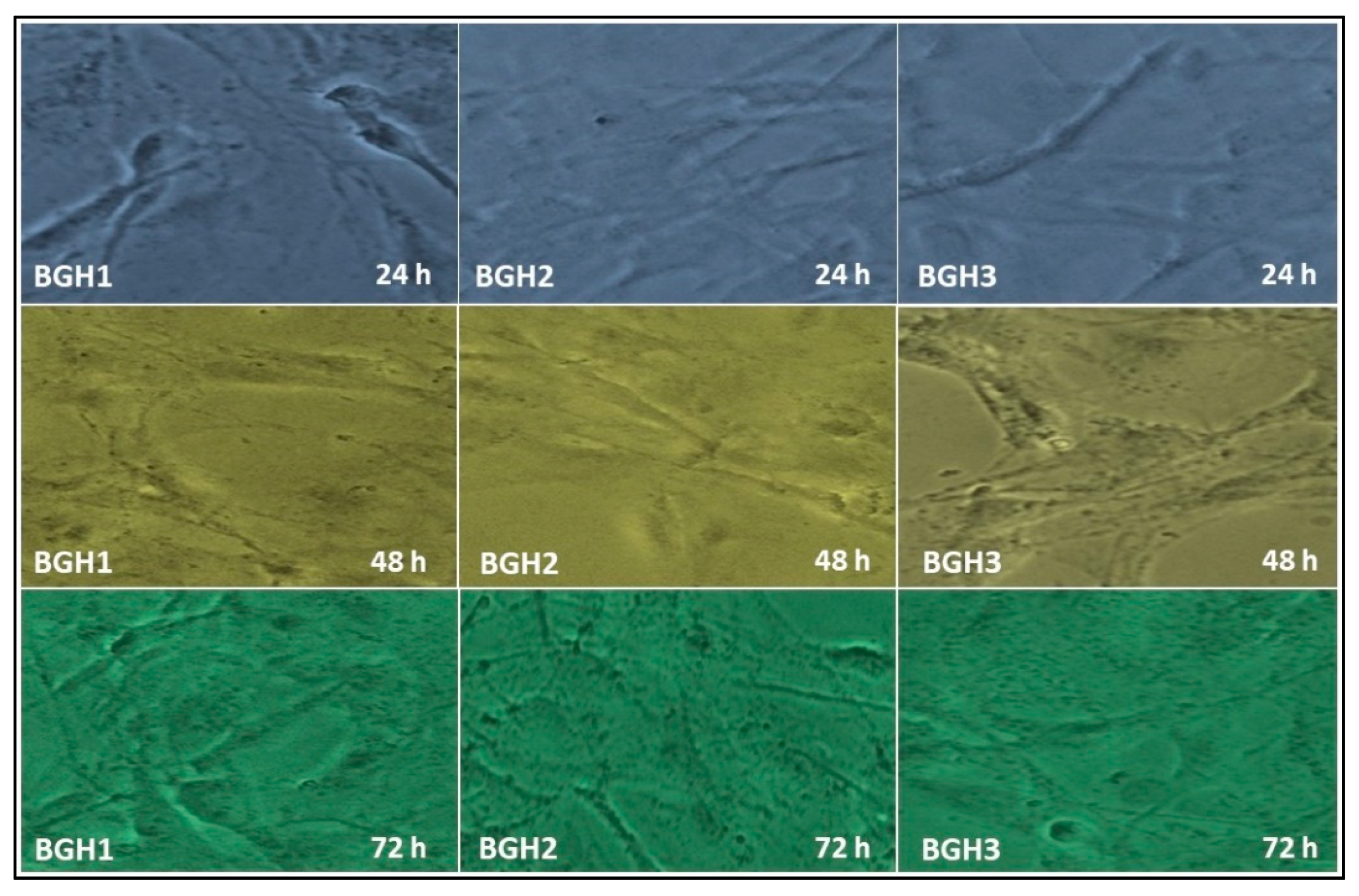 Polymers 13 03611 g007 550