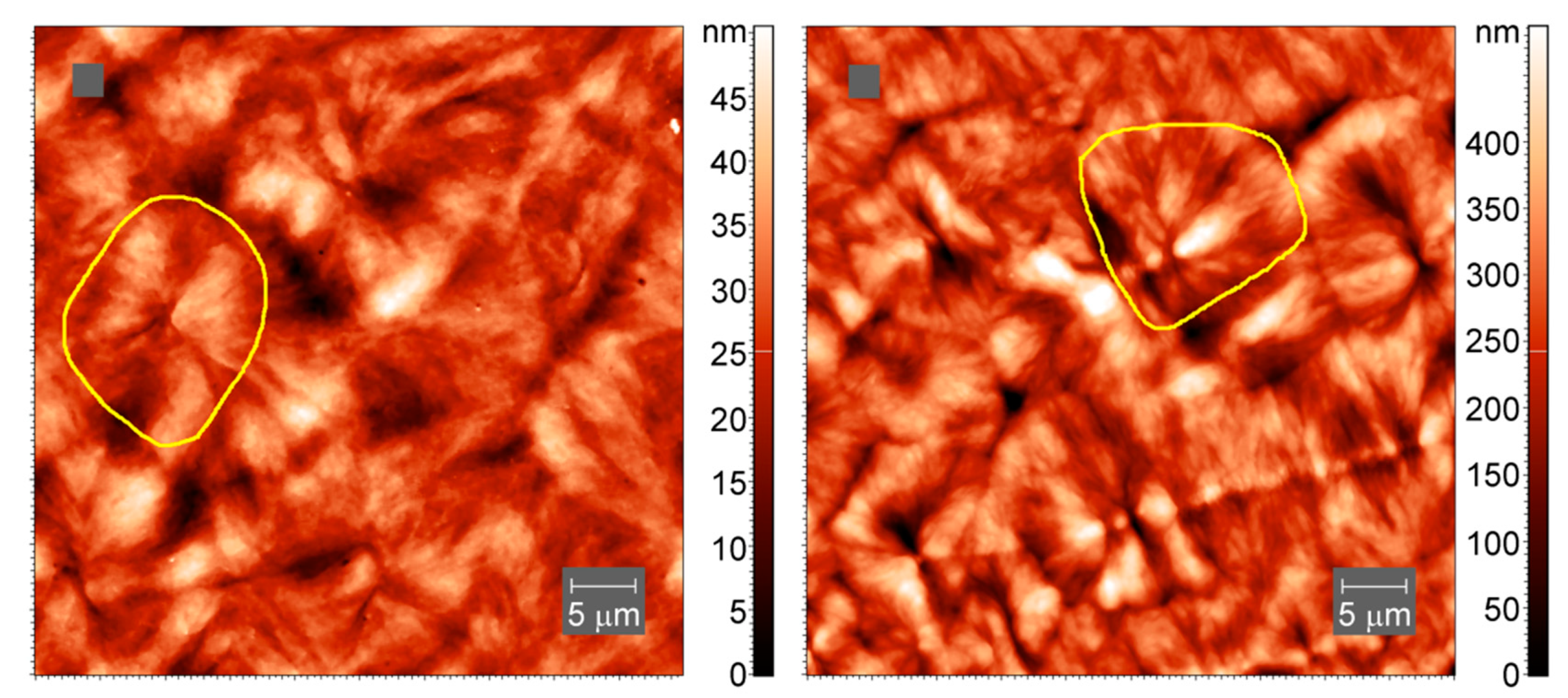 Polymers 13 03617 g011 550