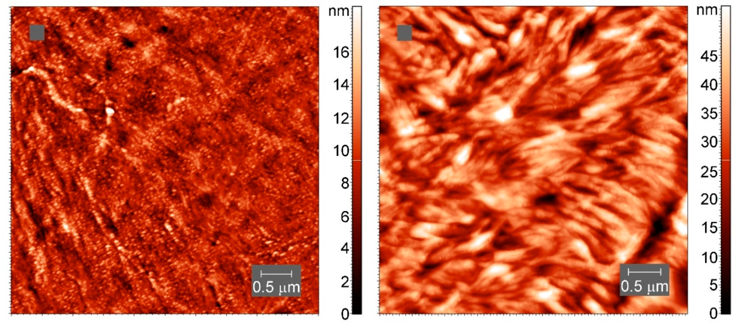 Polymers 13 03617 g012 550
