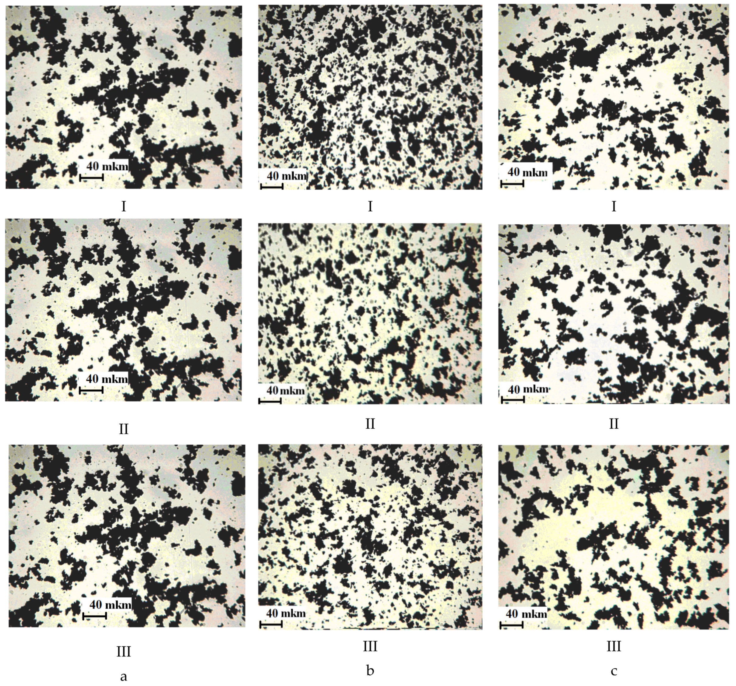 Polymers 13 03619 g003