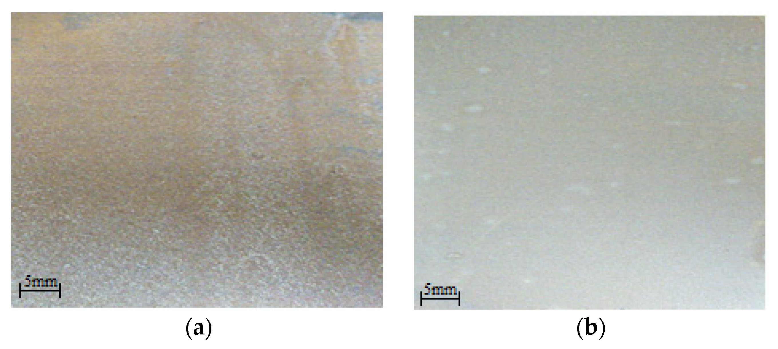 Polymers 13 03619 g006