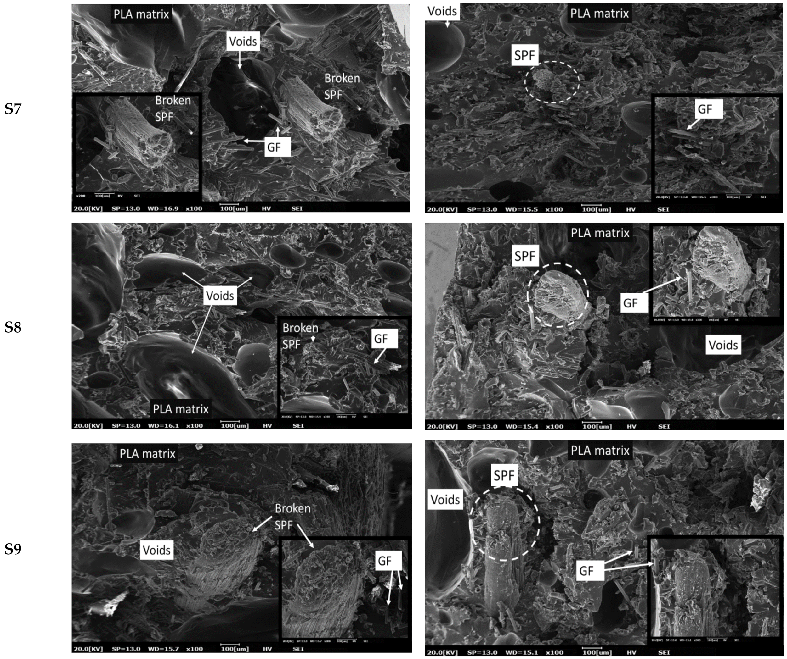 Polymers 13 03620 g008c
