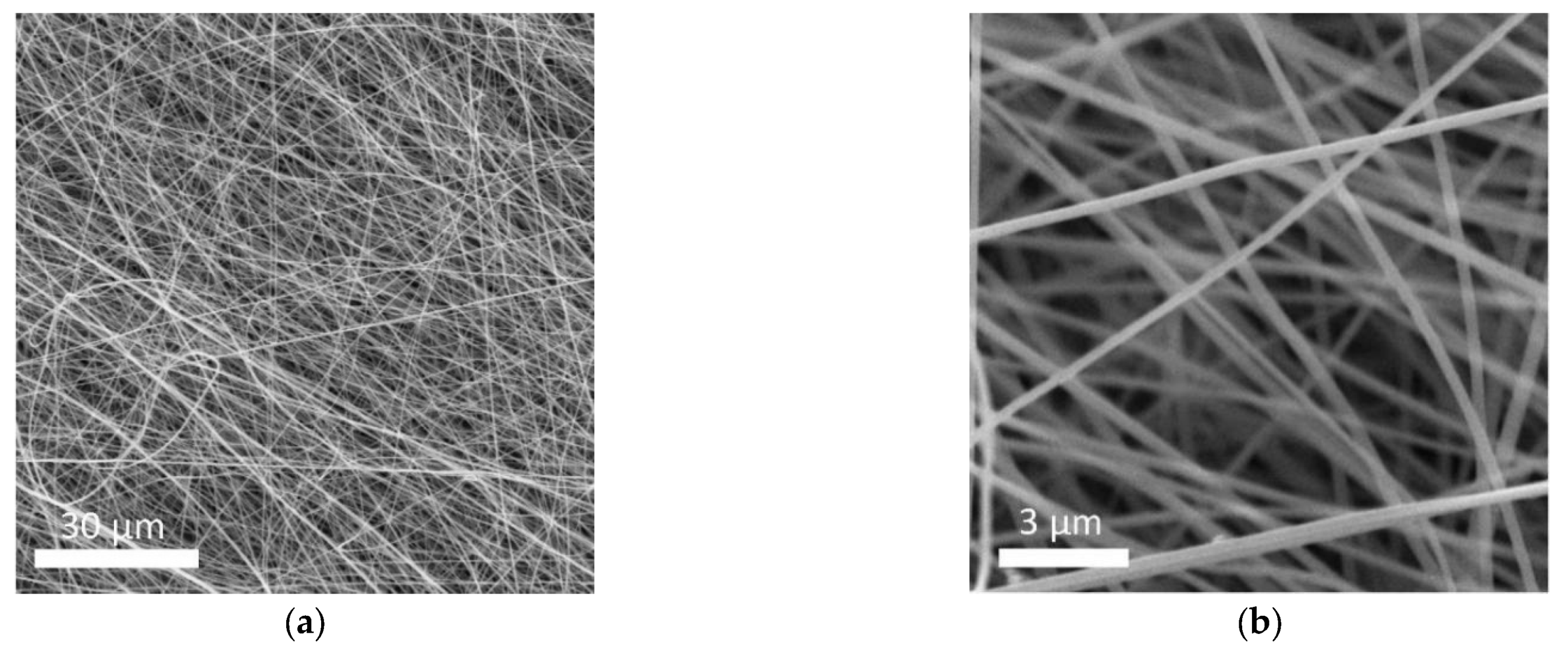 Polymers 13 03622 g002 550