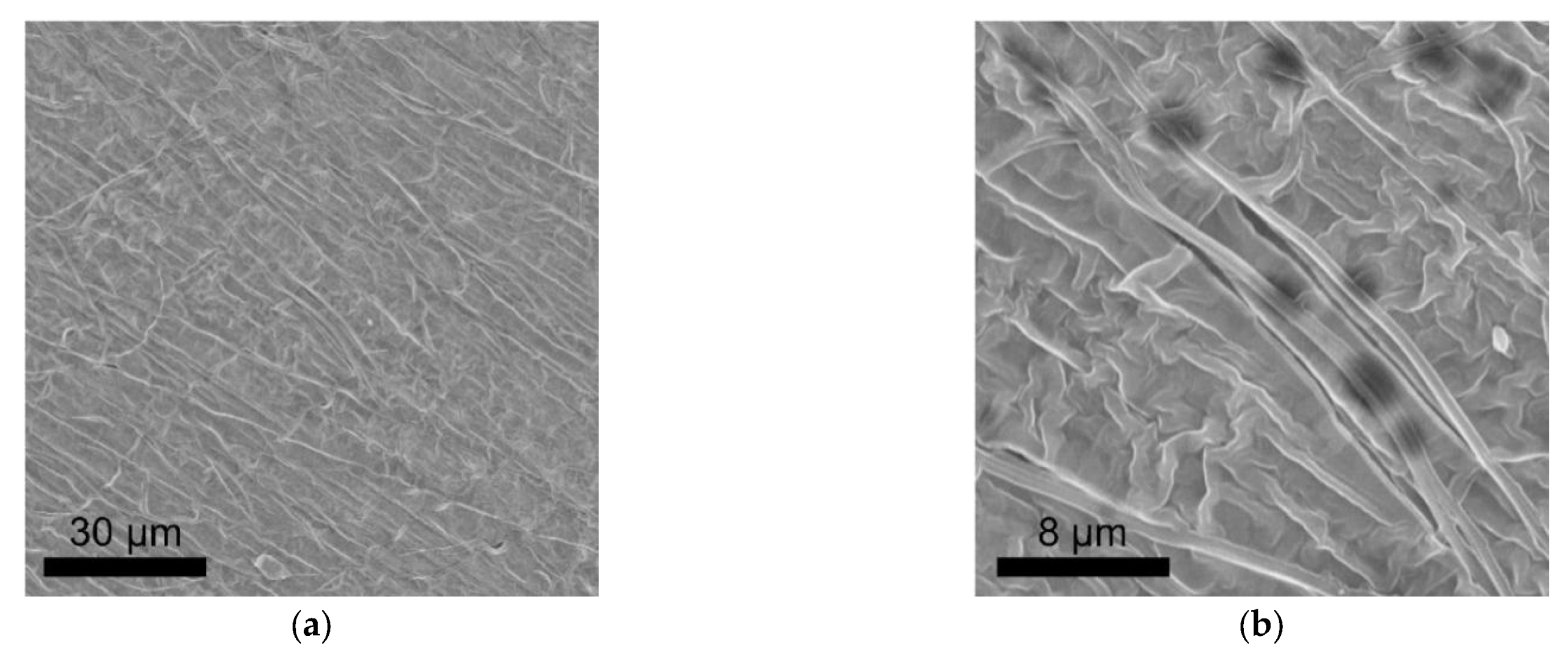 Polymers 13 03622 g005 550