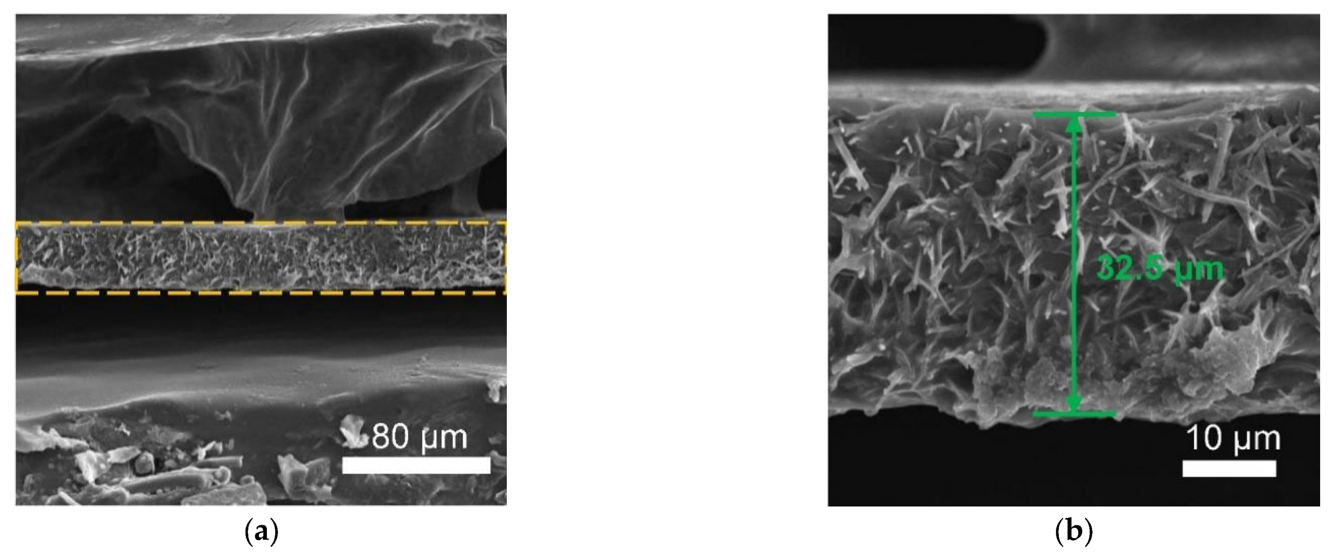 Polymers 13 03622 g006 550