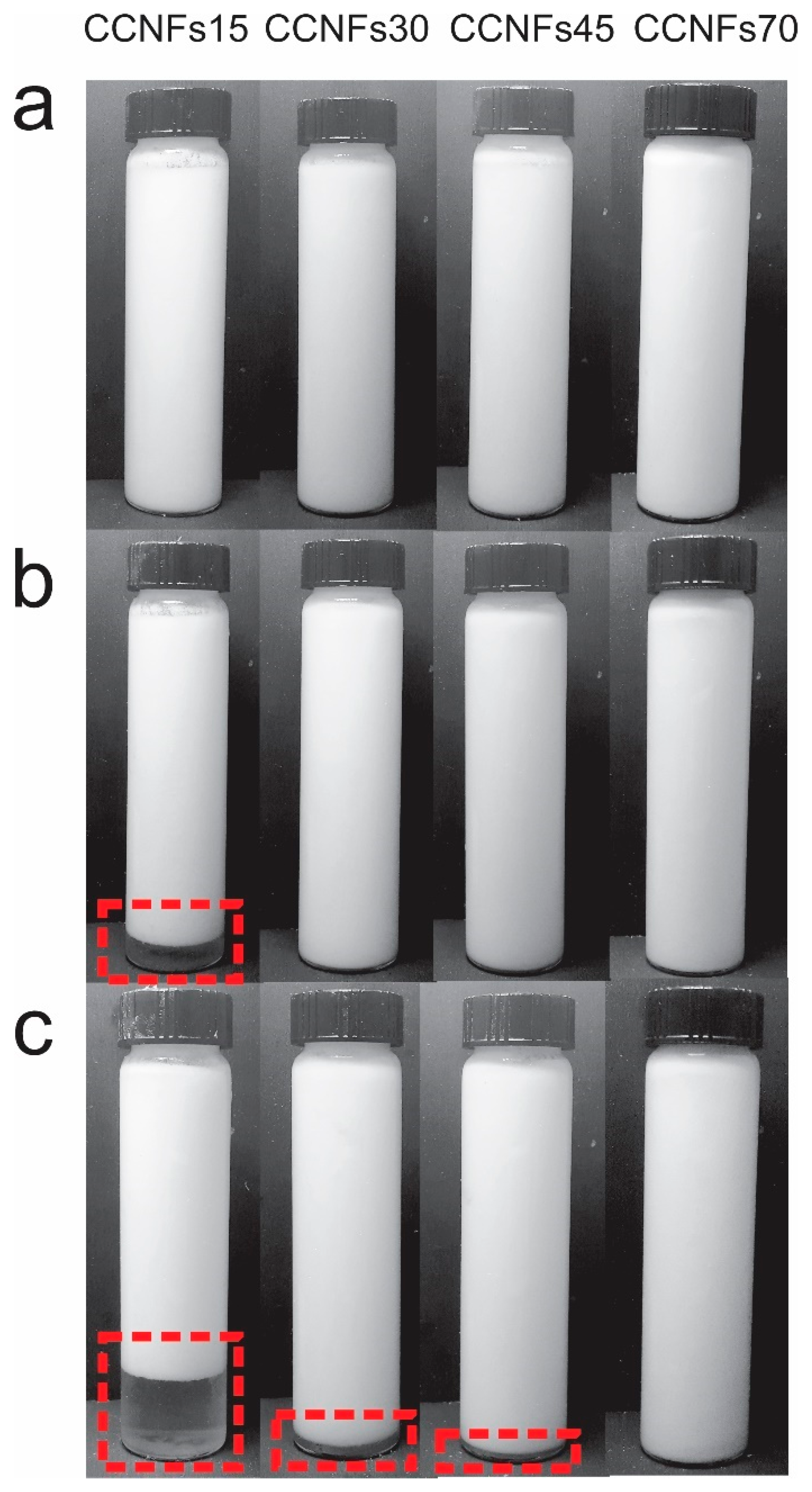 Polymers 13 03625 g002 550