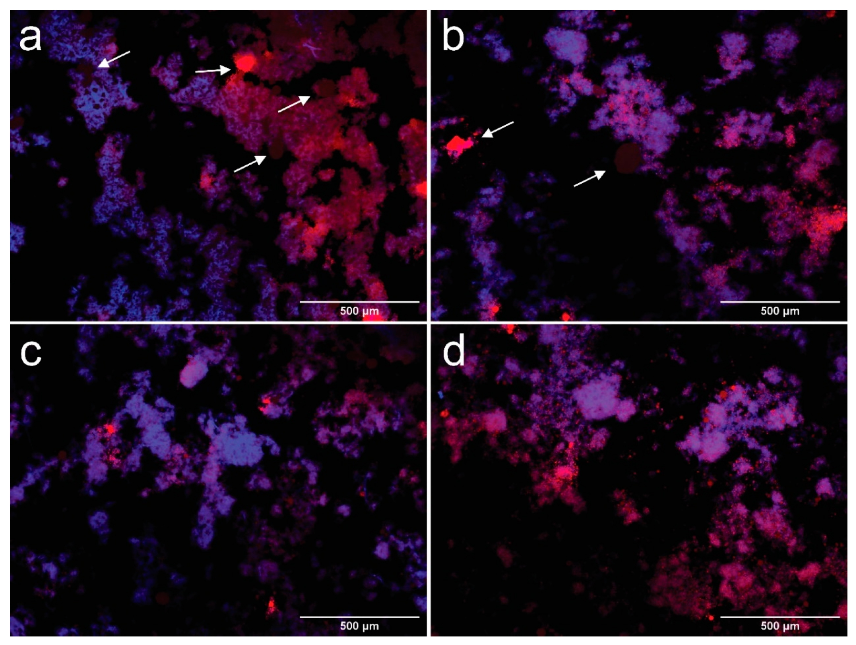 Polymers 13 03625 g003 550