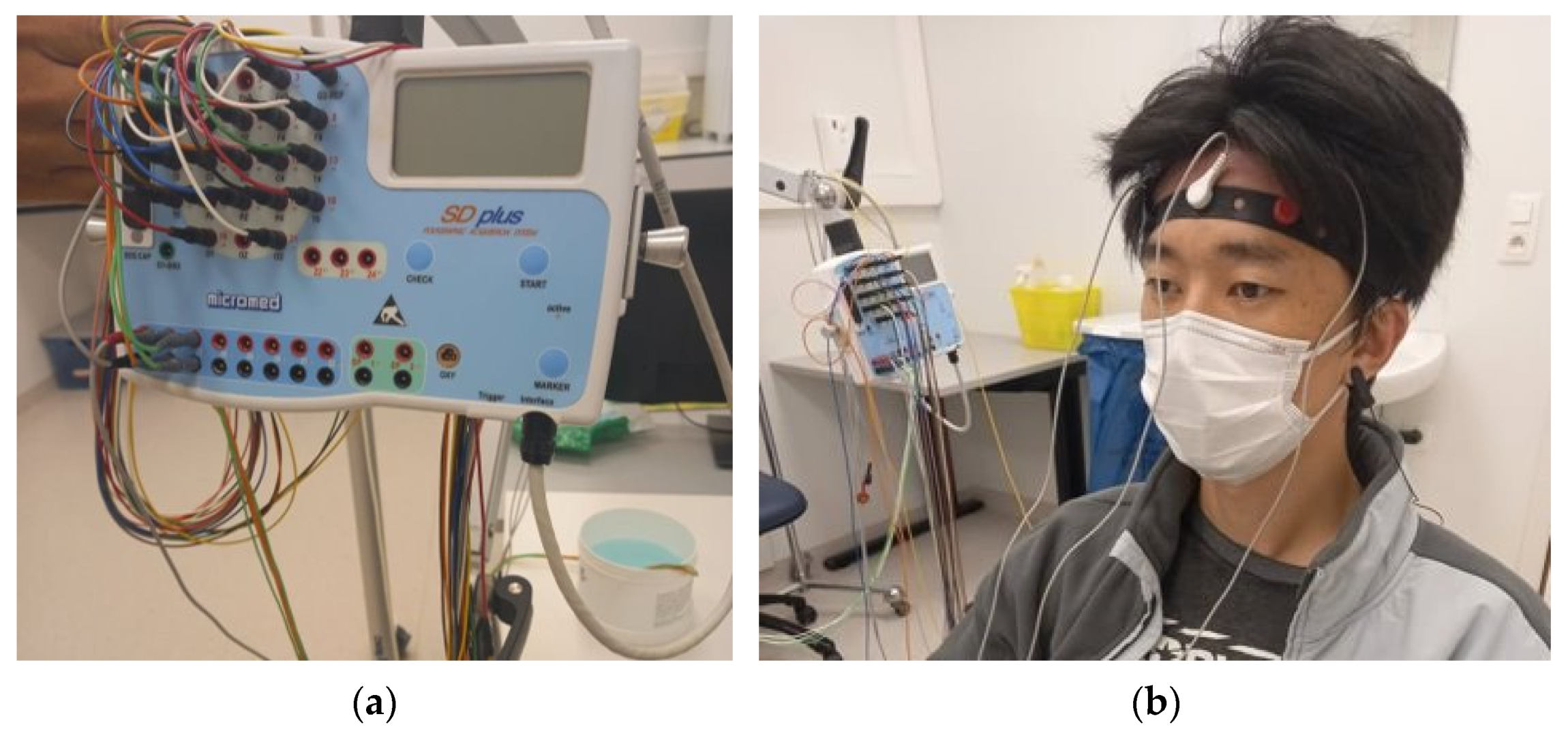 Polymers 13 03629 g012 Polymers 13 03629 g012