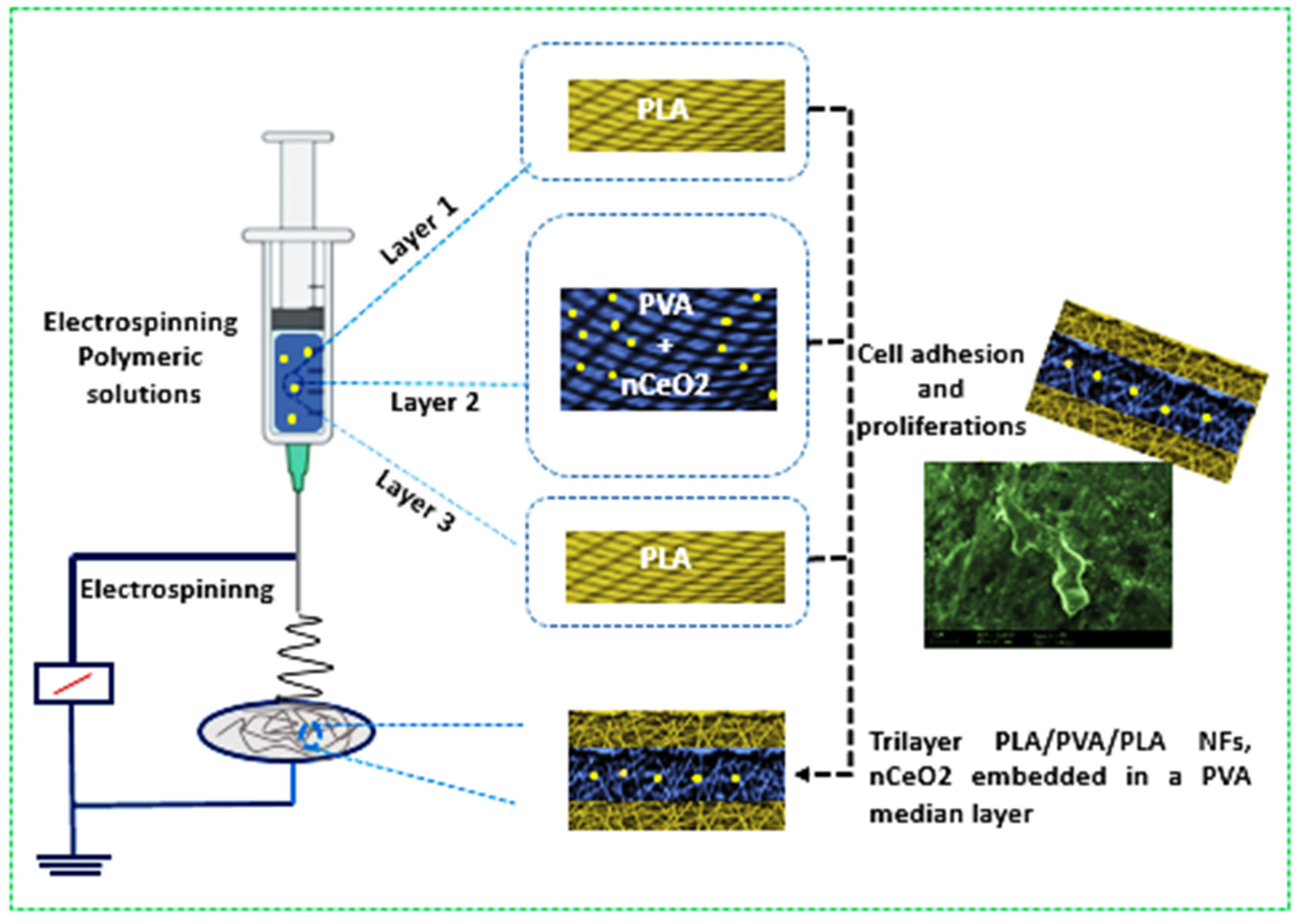 Polymers 13 03630 sch001 550