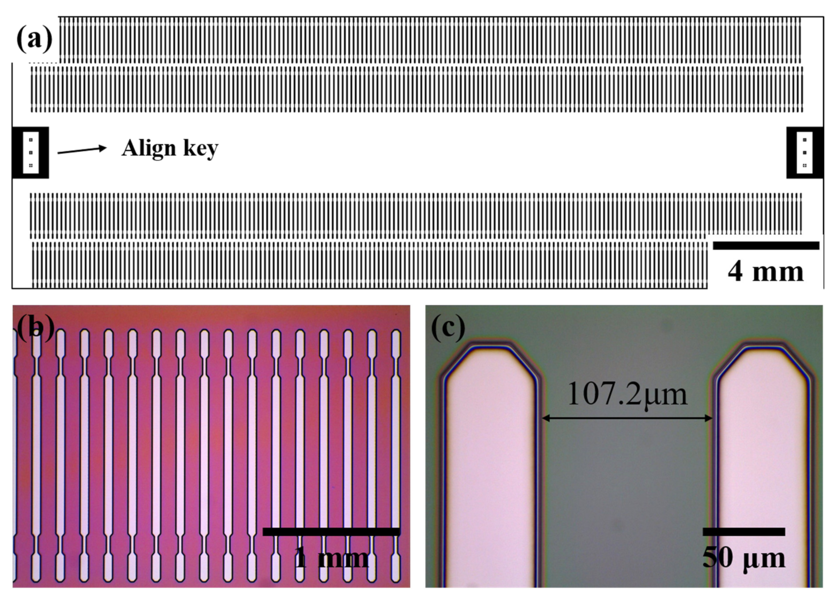 Polymers 13 03633 g004