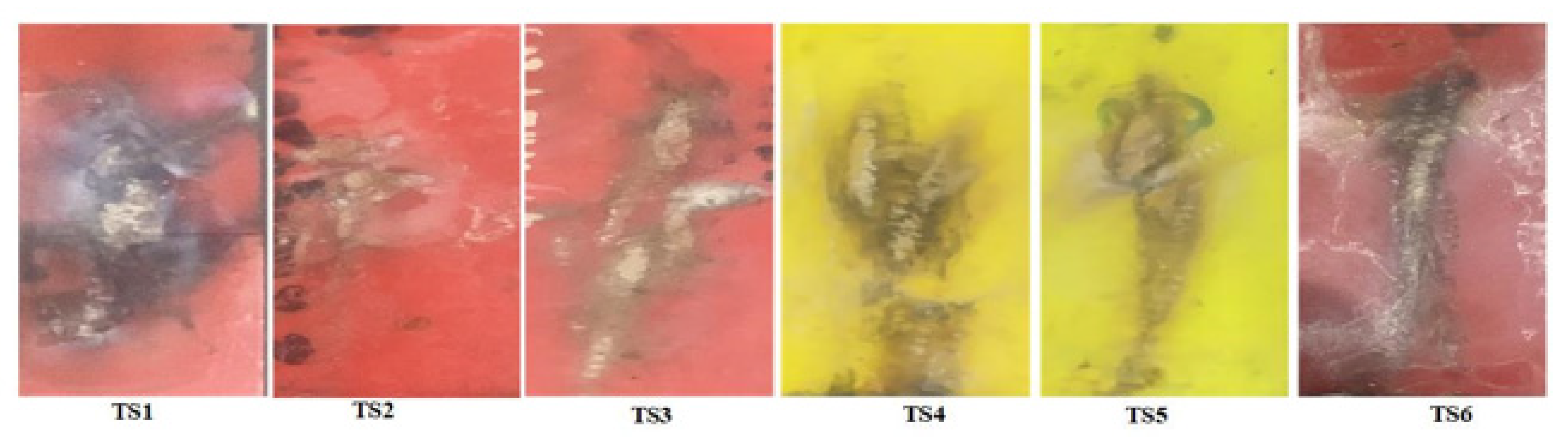 Polymers 13 03634 g005