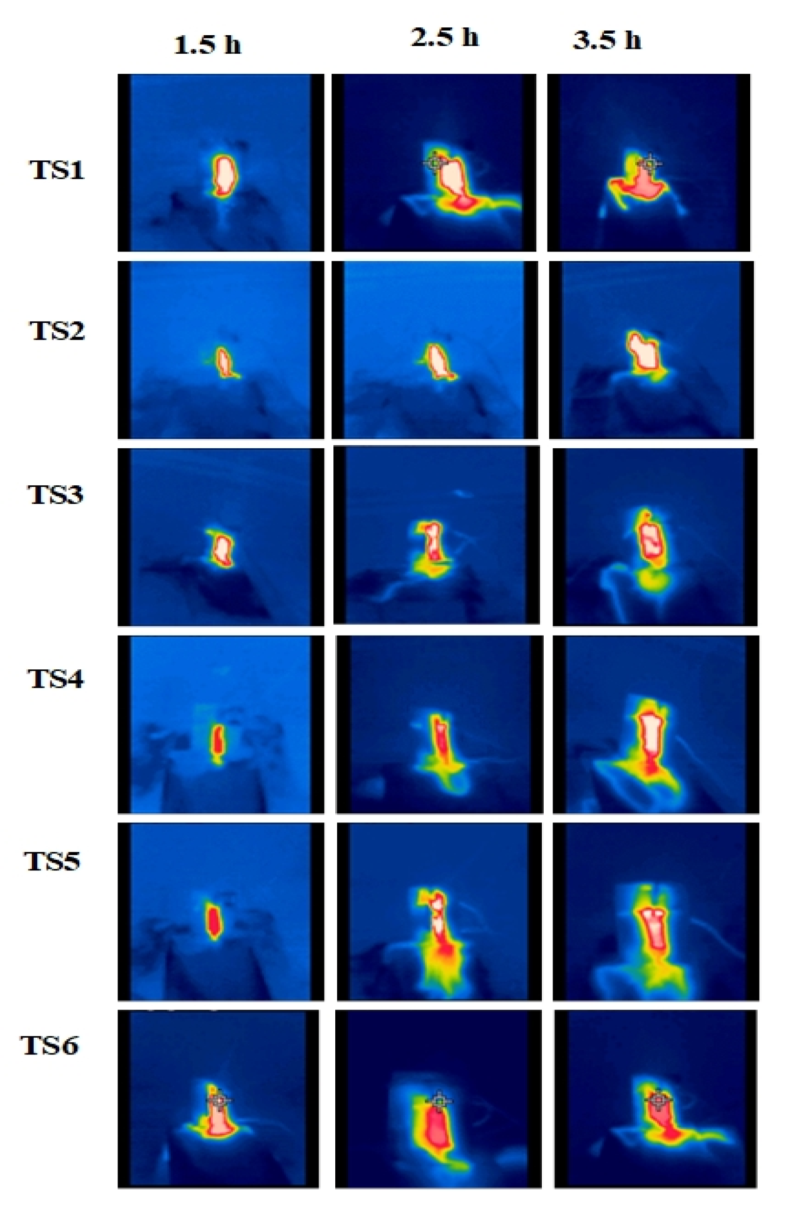 Polymers 13 03634 g012