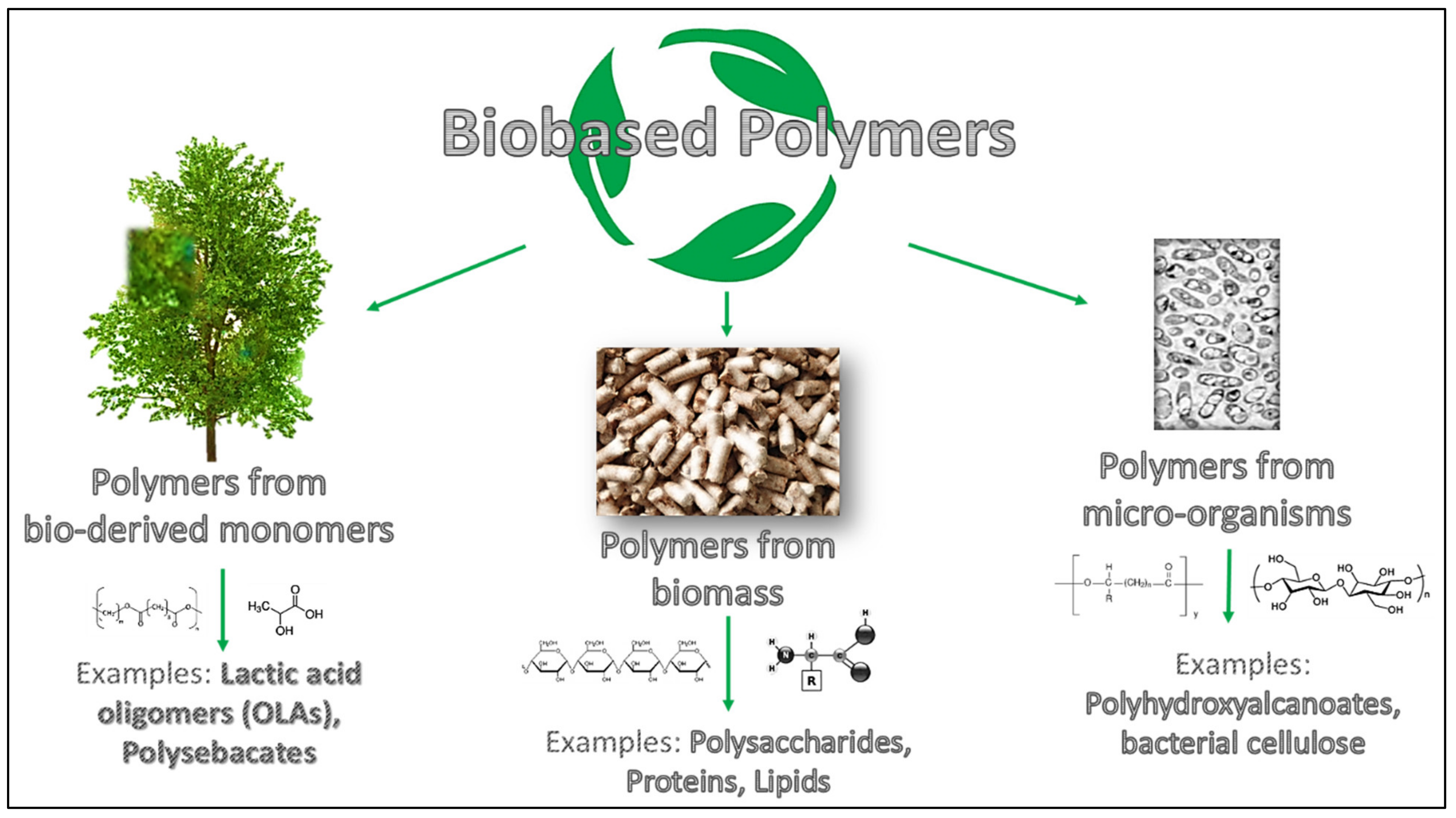 tolerantie nieuwigheid Kolonisten Polymers | Free Full-Text | Liquid and Solid Functional Bio-Based Coatings