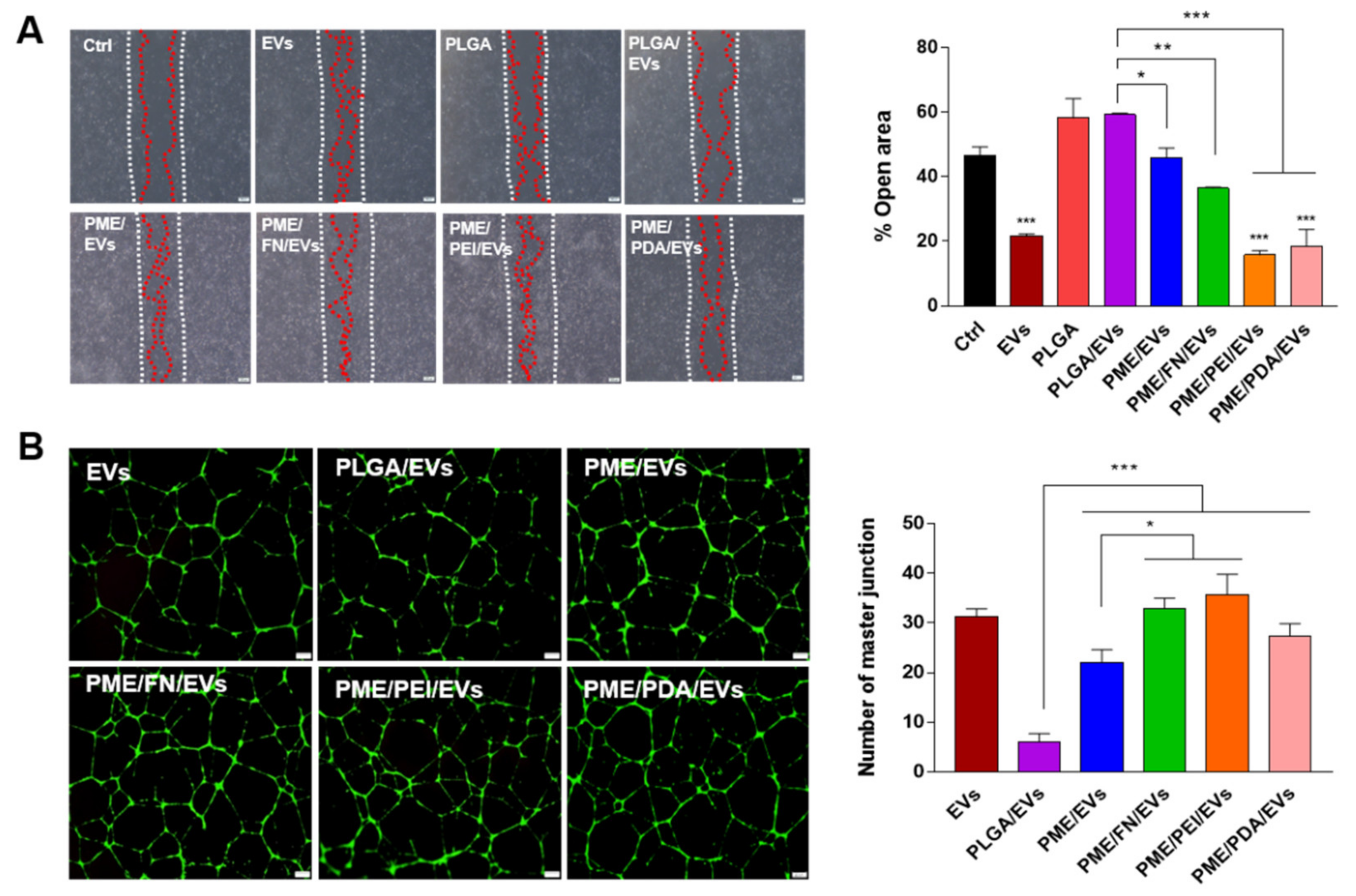 Polymers 13 03643 g004 550