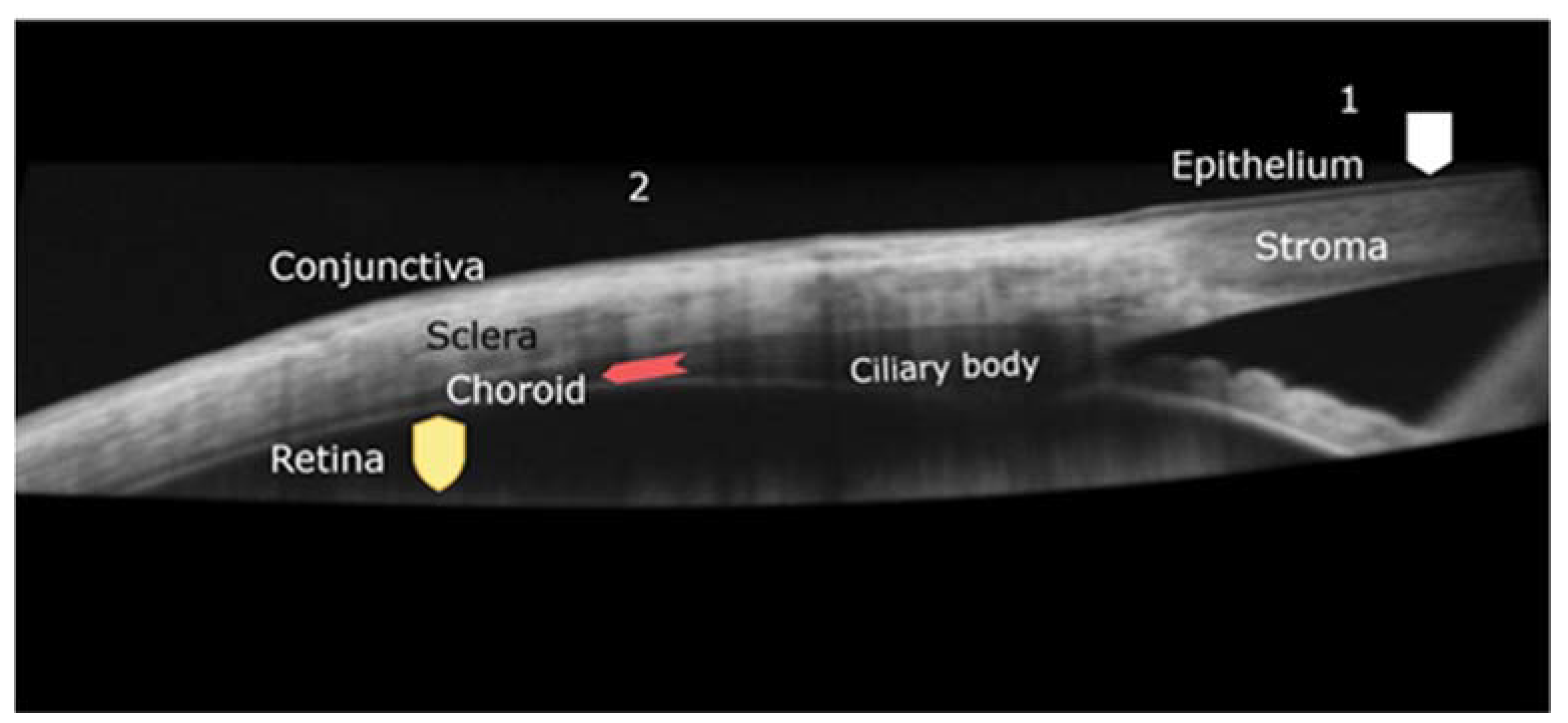 Polymers 13 03649 g001 550