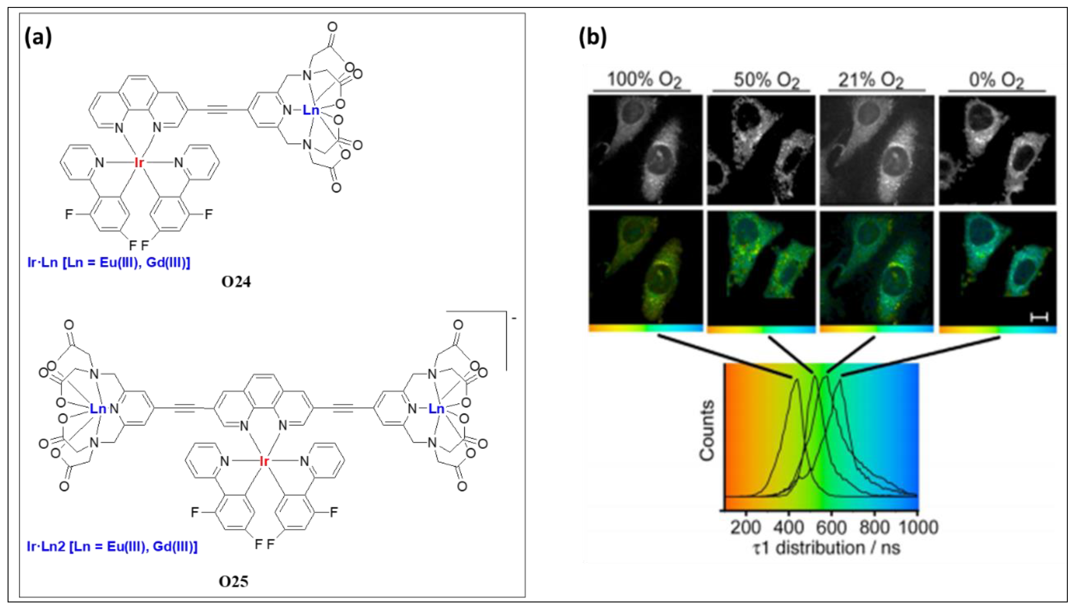 Polymers 13 03654 g015 Polymers 13 03654 g015