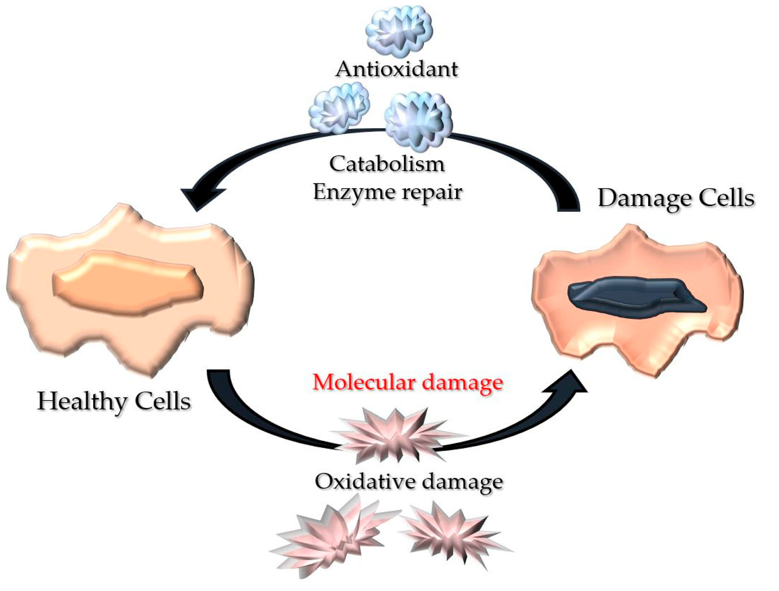 Polymers 13 03656 g002
