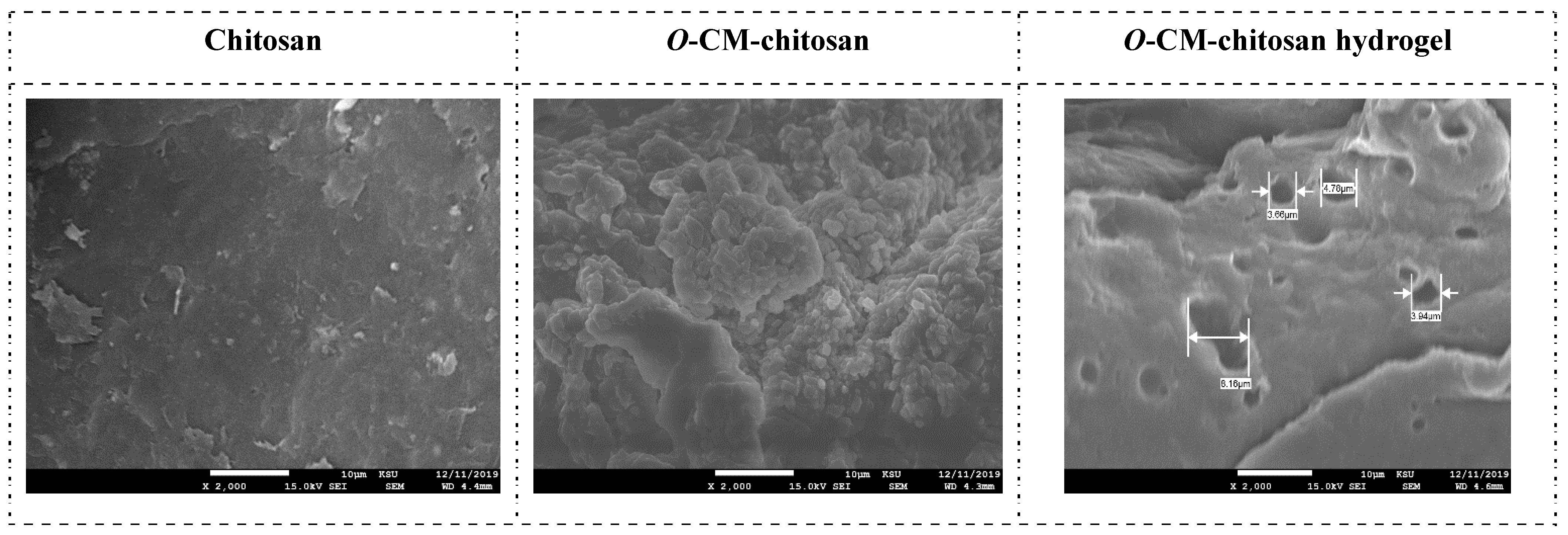 Polymers 13 03659 g005